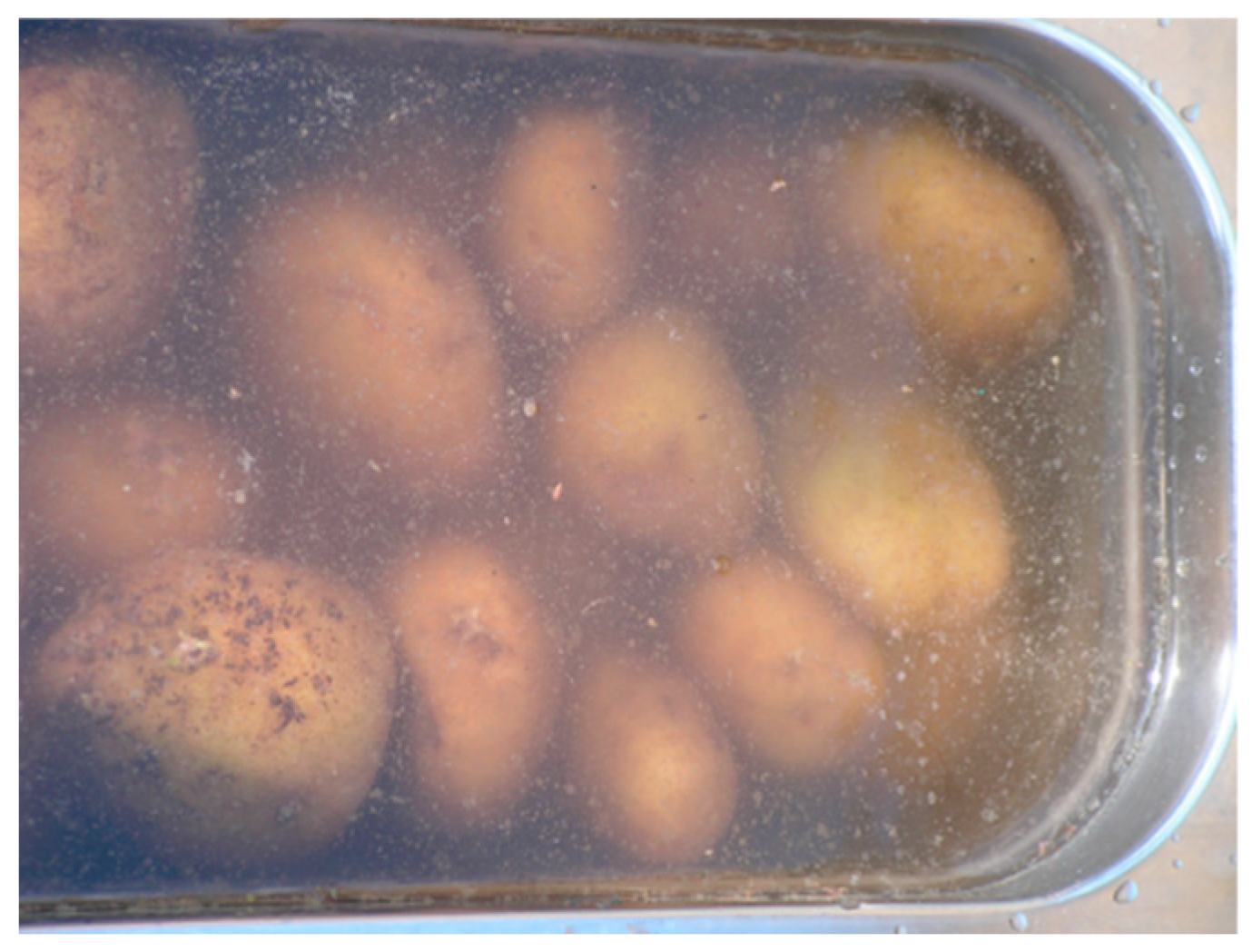 Sustainability 16 00108 g001