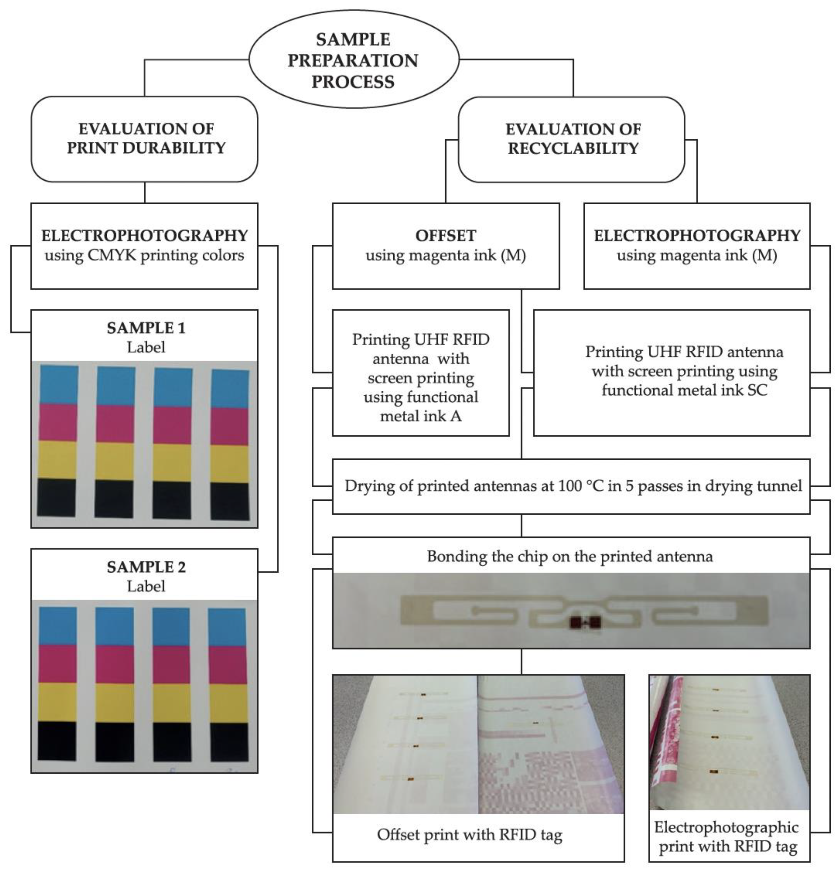 Sustainability 16 00129 g001