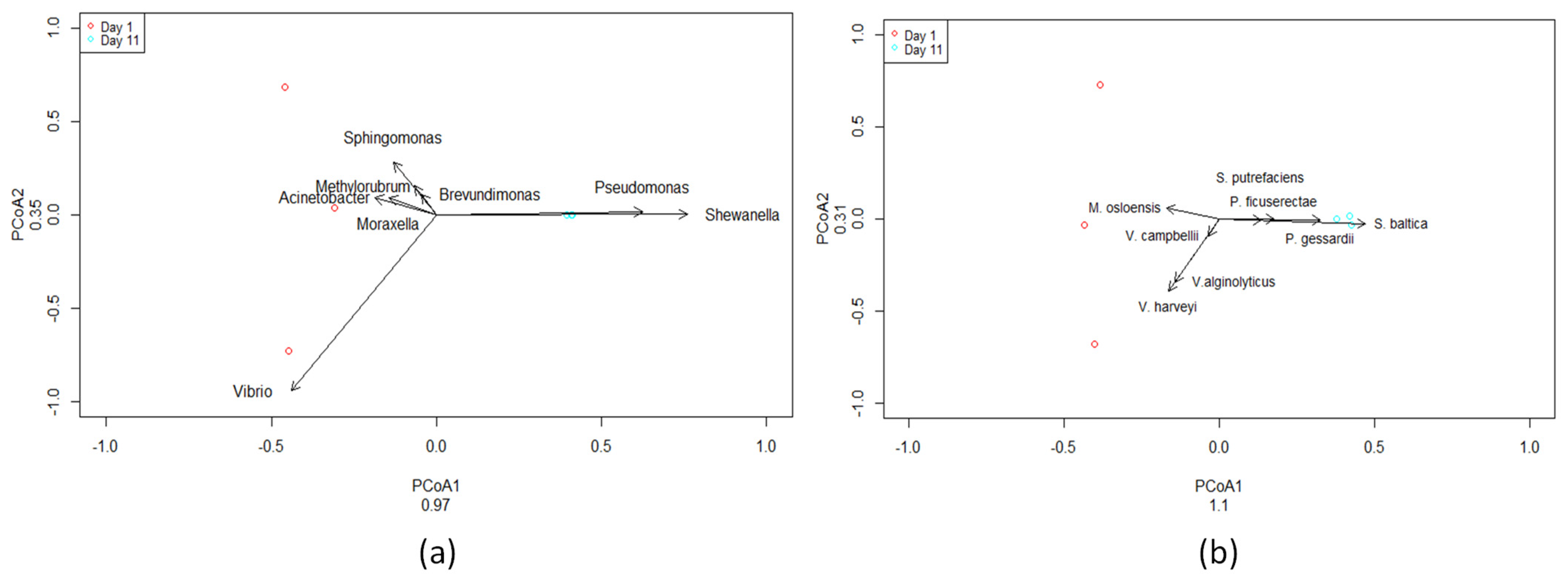 Sustainability 16 00130 g004