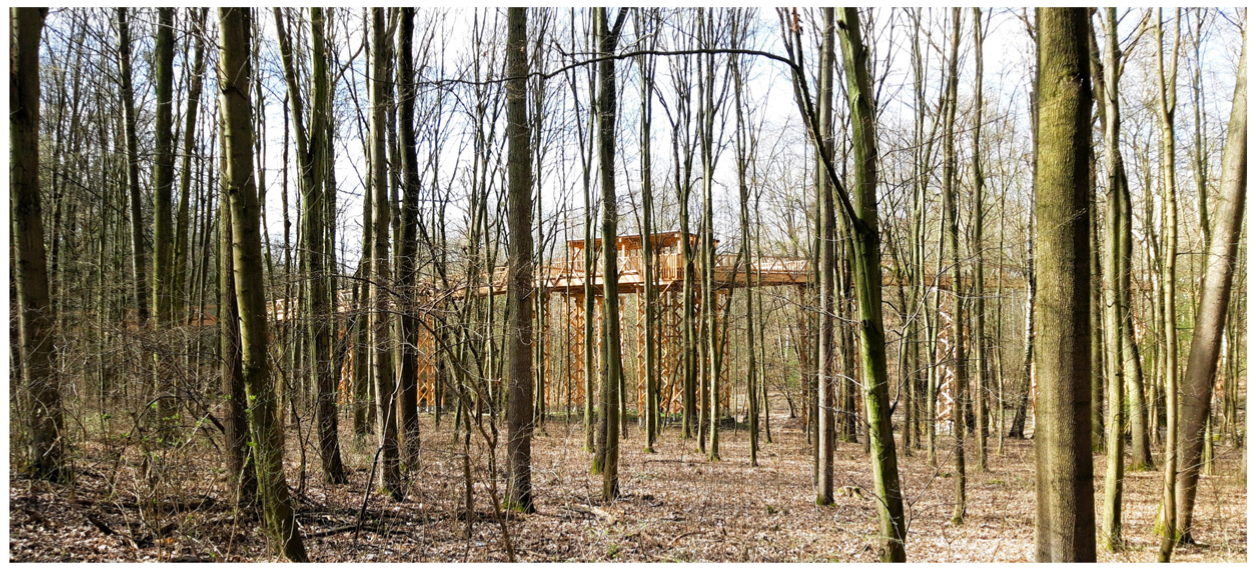 Sustainability 16 00141 g004