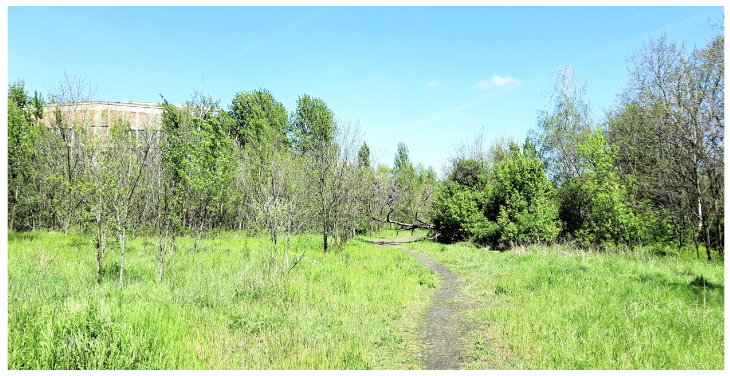 Sustainability 16 00141 g005