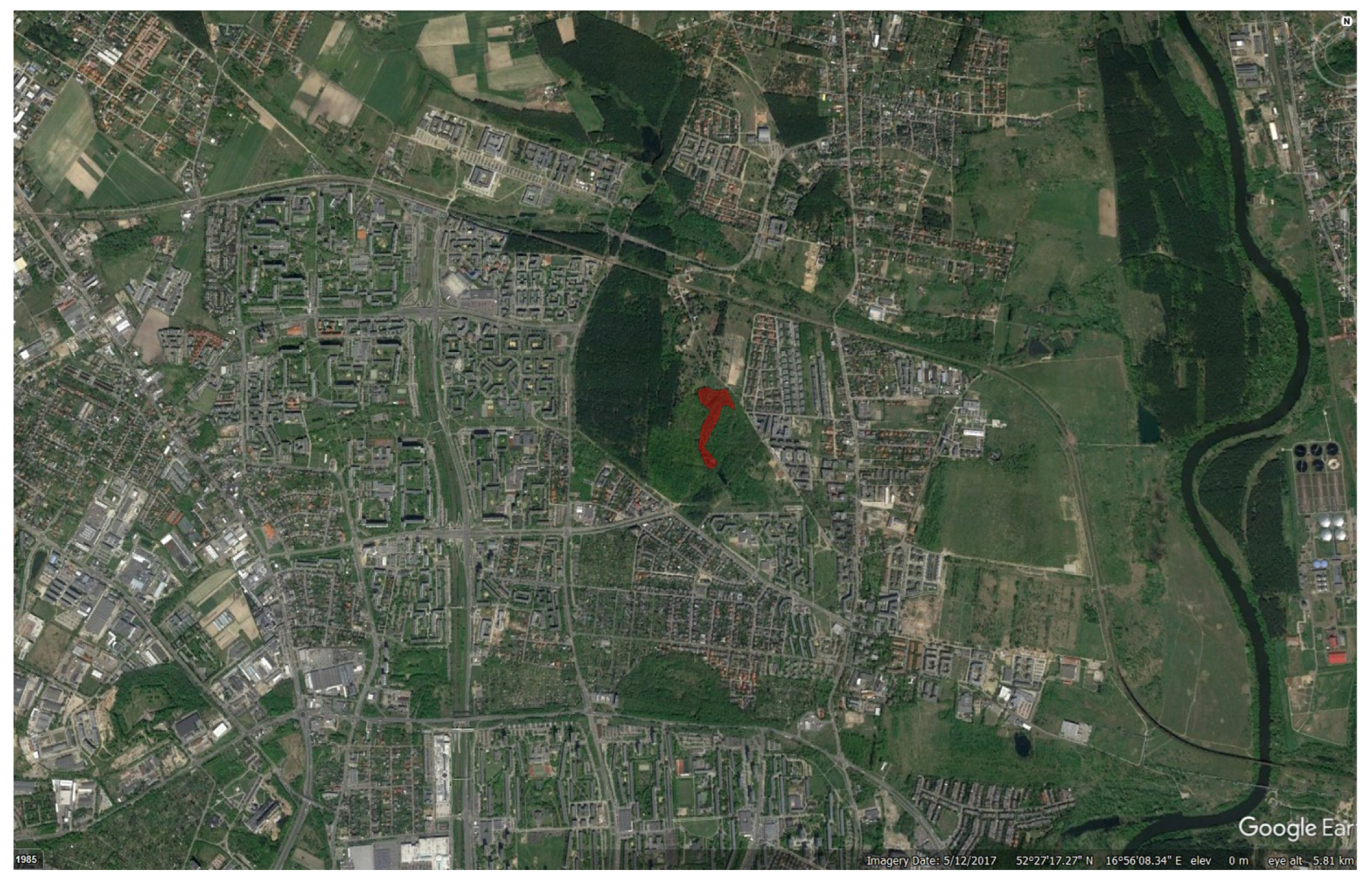 Sustainability 16 00141 g006