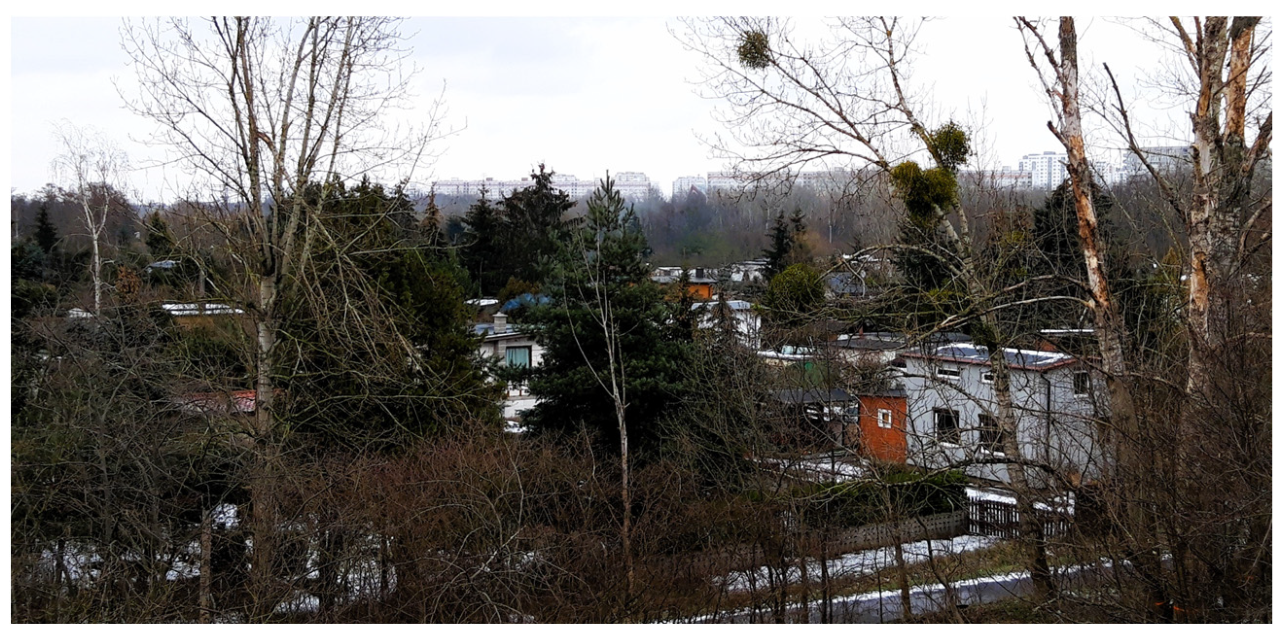 Sustainability 16 00141 g007