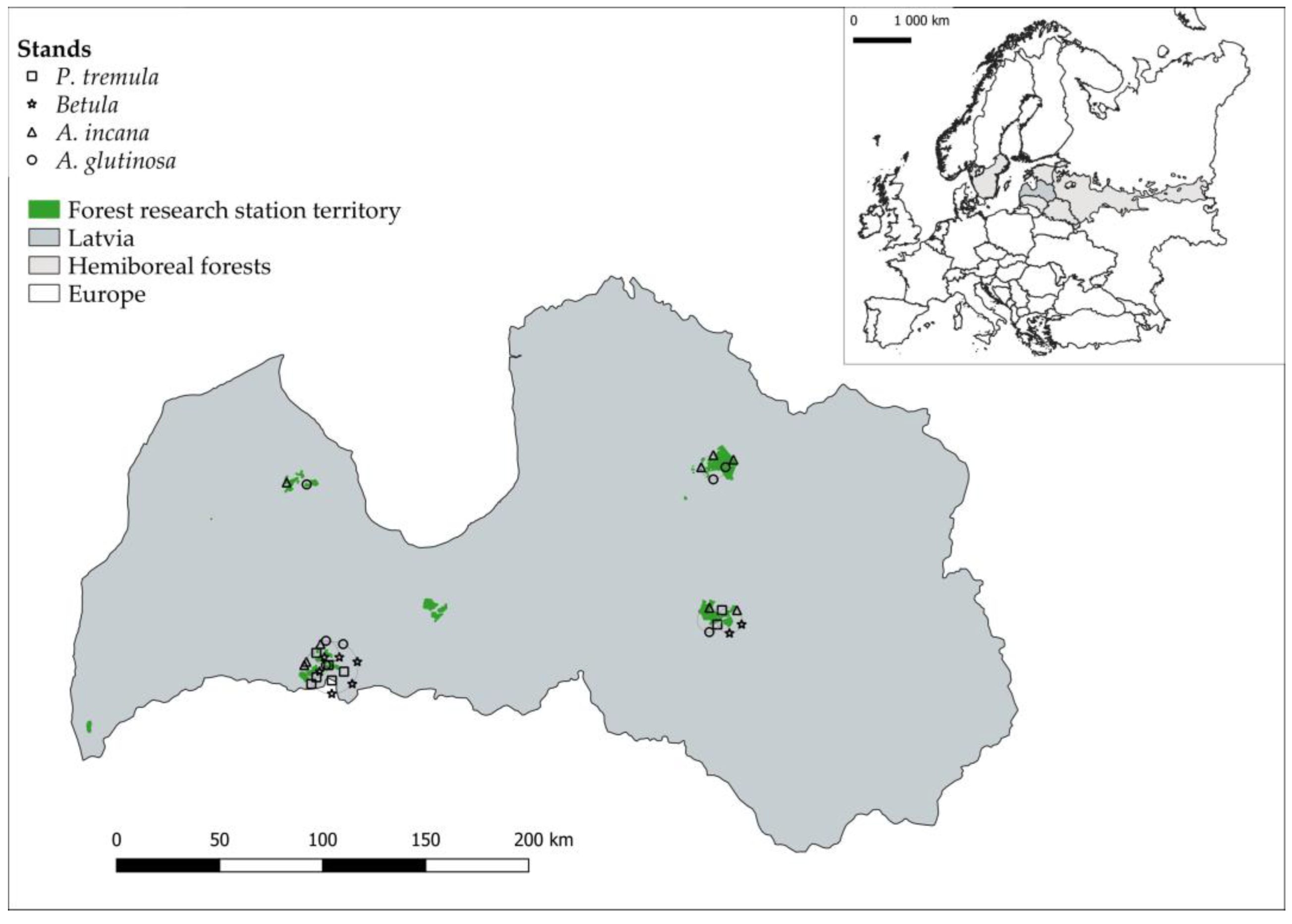 Sustainability 16 00144 g001 Sustainability 16 00144 g001
