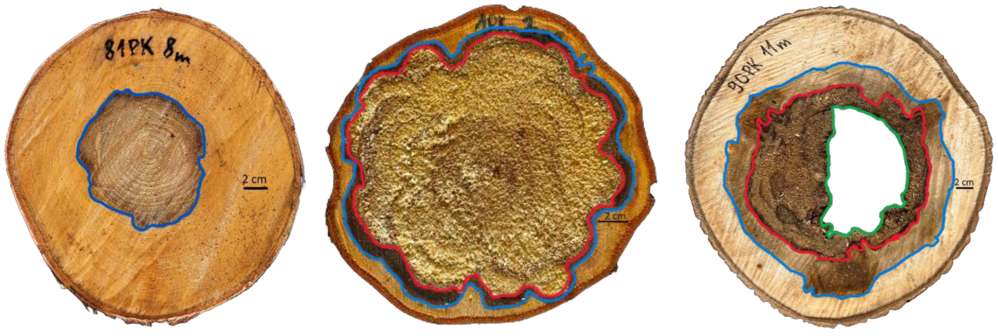 Sustainability 16 00144 g003 Sustainability 16 00144 g003