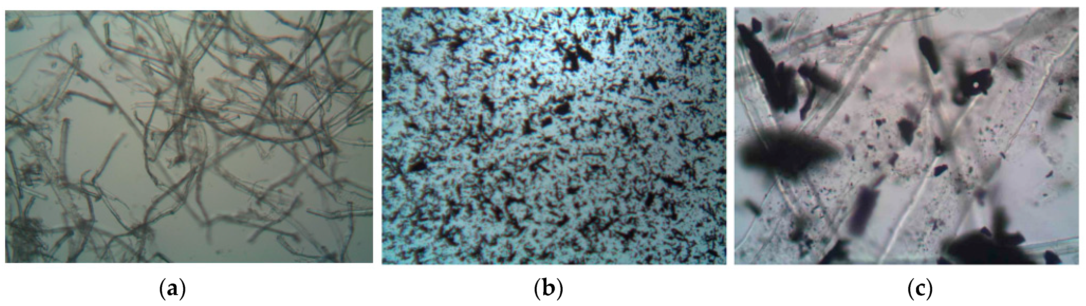 Sustainability 16 00179 g004