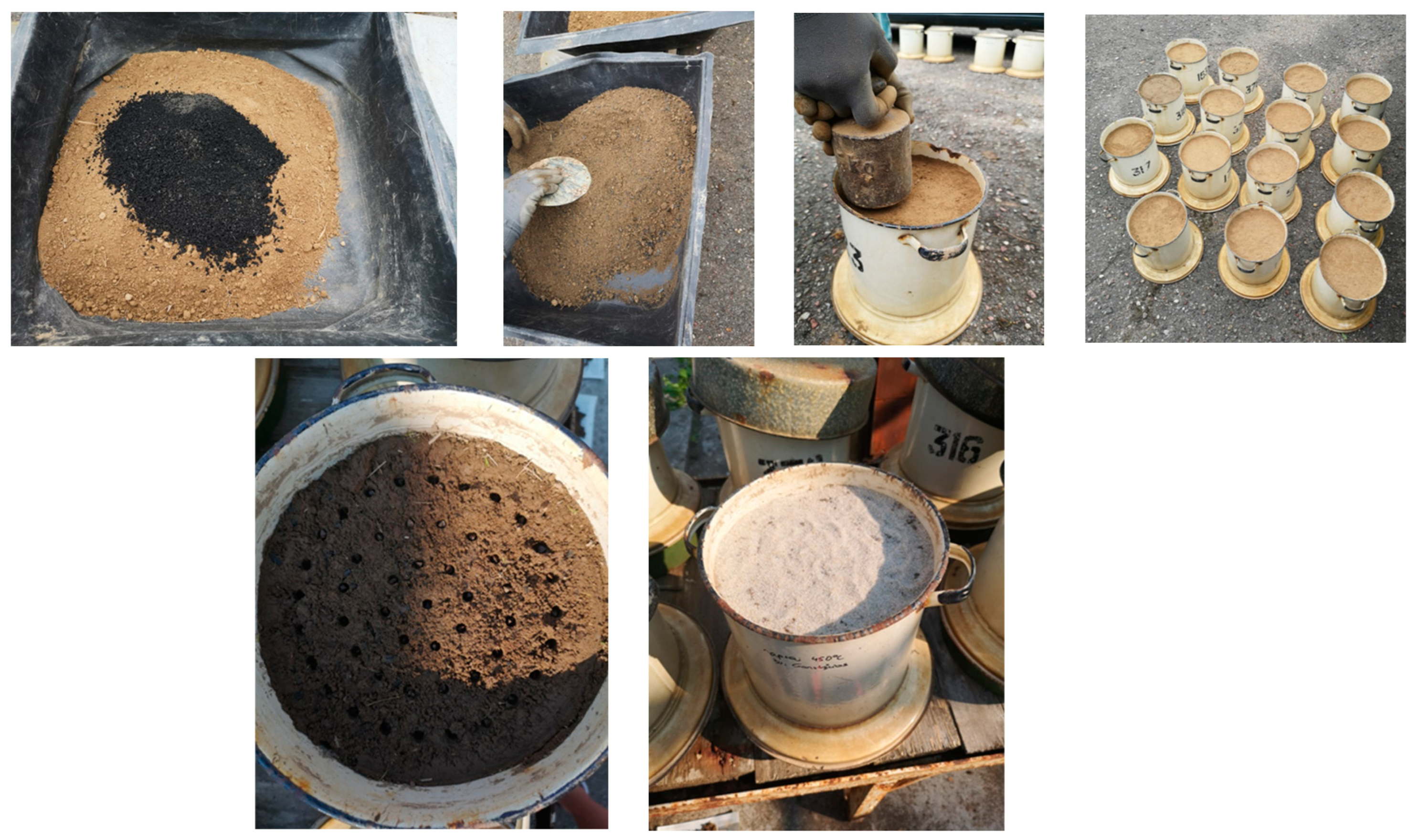 Sustainability 16 00183 g002