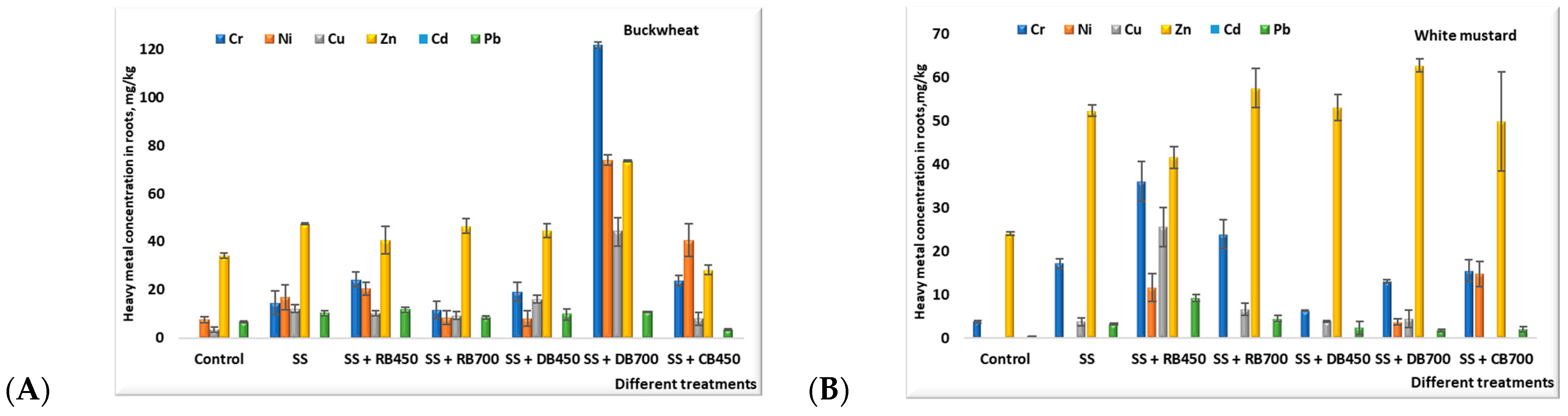 Sustainability 16 00183 g005