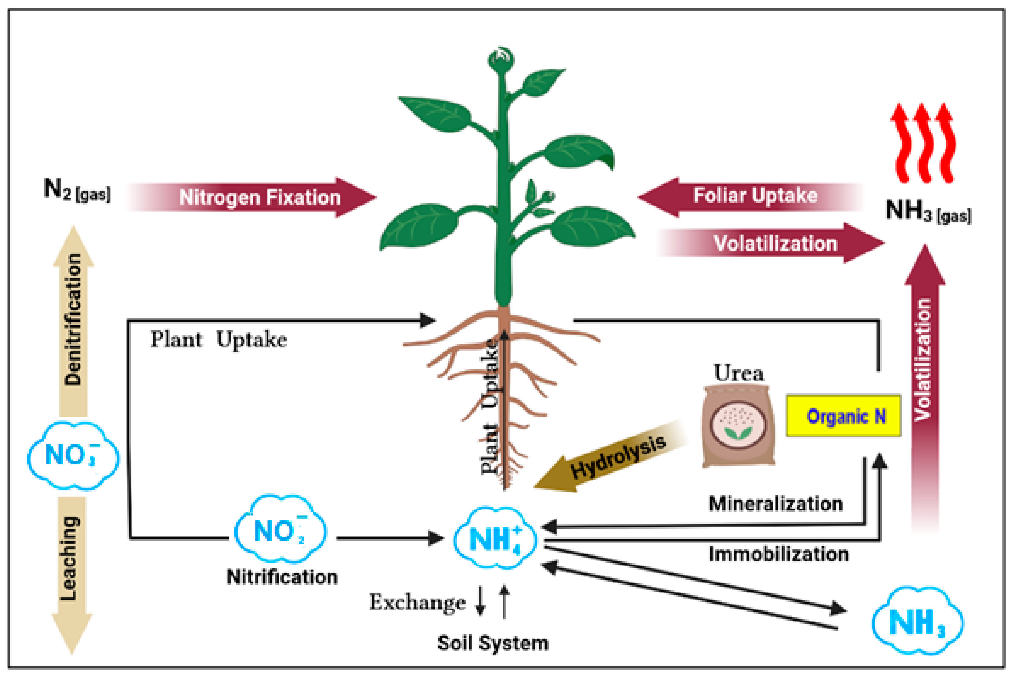 Sustainability 16 00188 g002