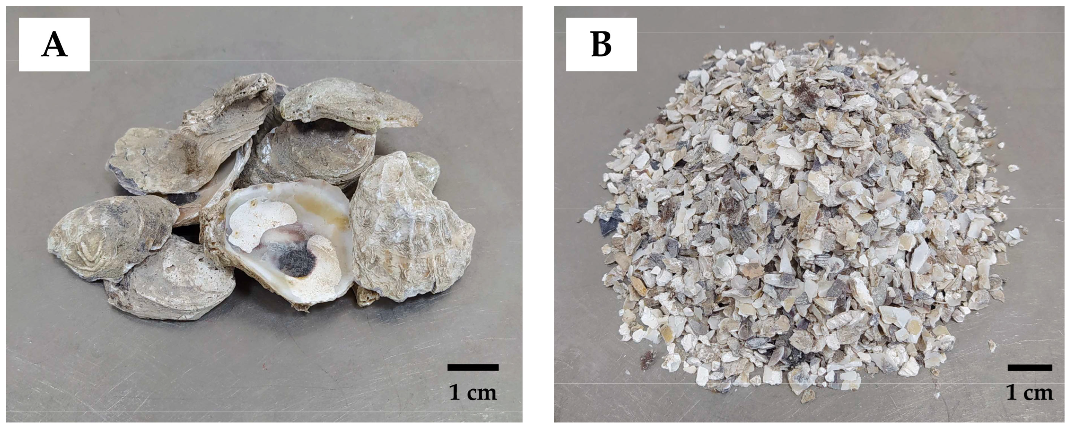 Sustainability 16 00199 g001