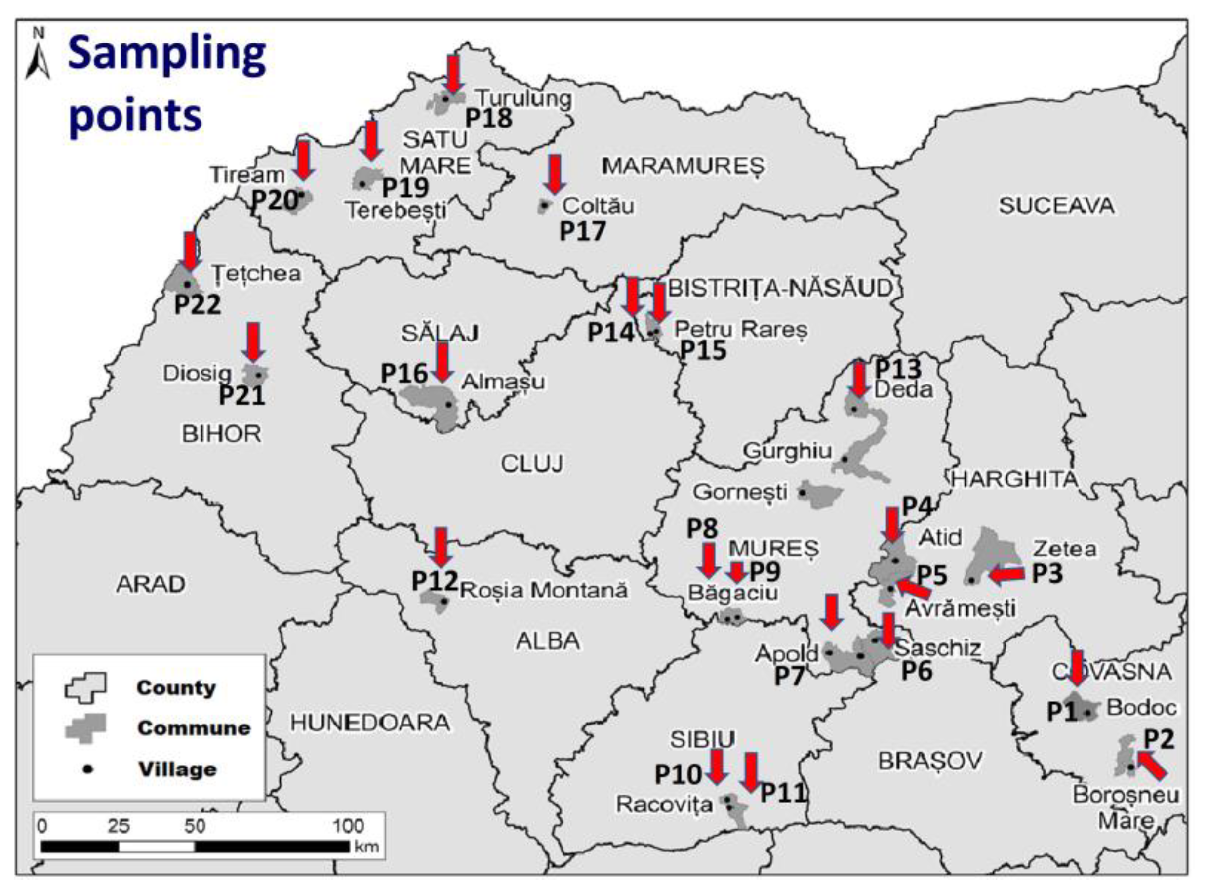 Sustainability 16 00232 g001