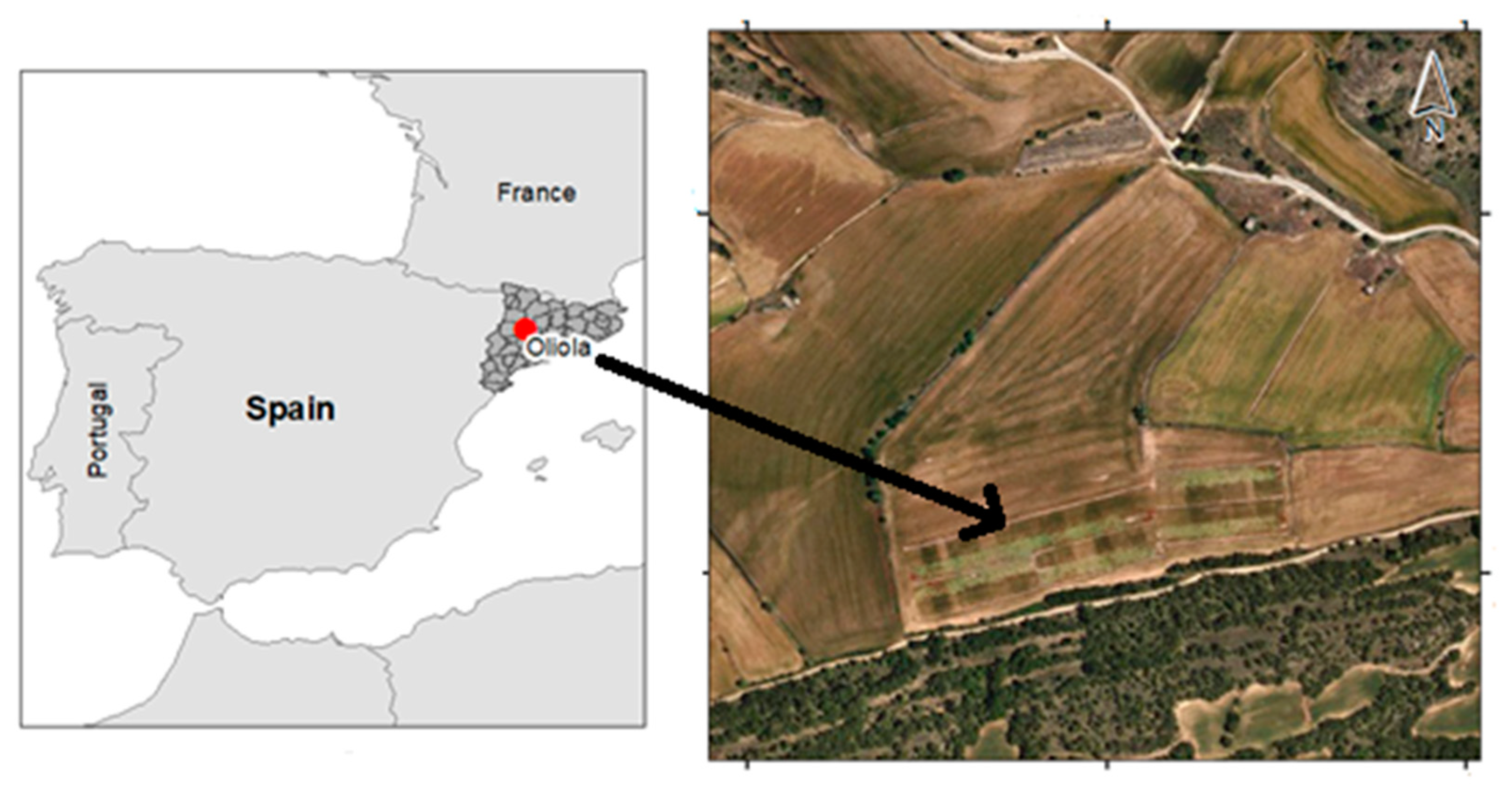 Sustainability 16 00238 g001