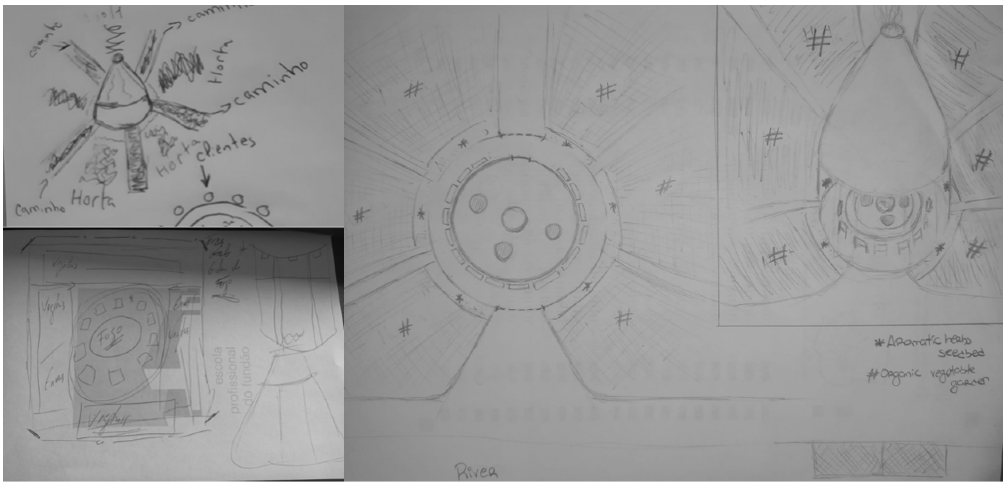 Sustainability 16 00321 g004