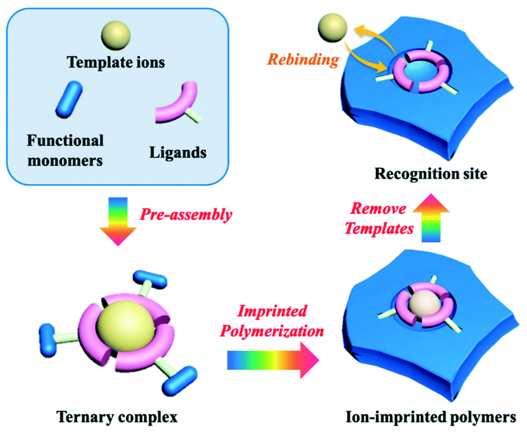 Green and Sustainable Imprinting Technology for Removal of