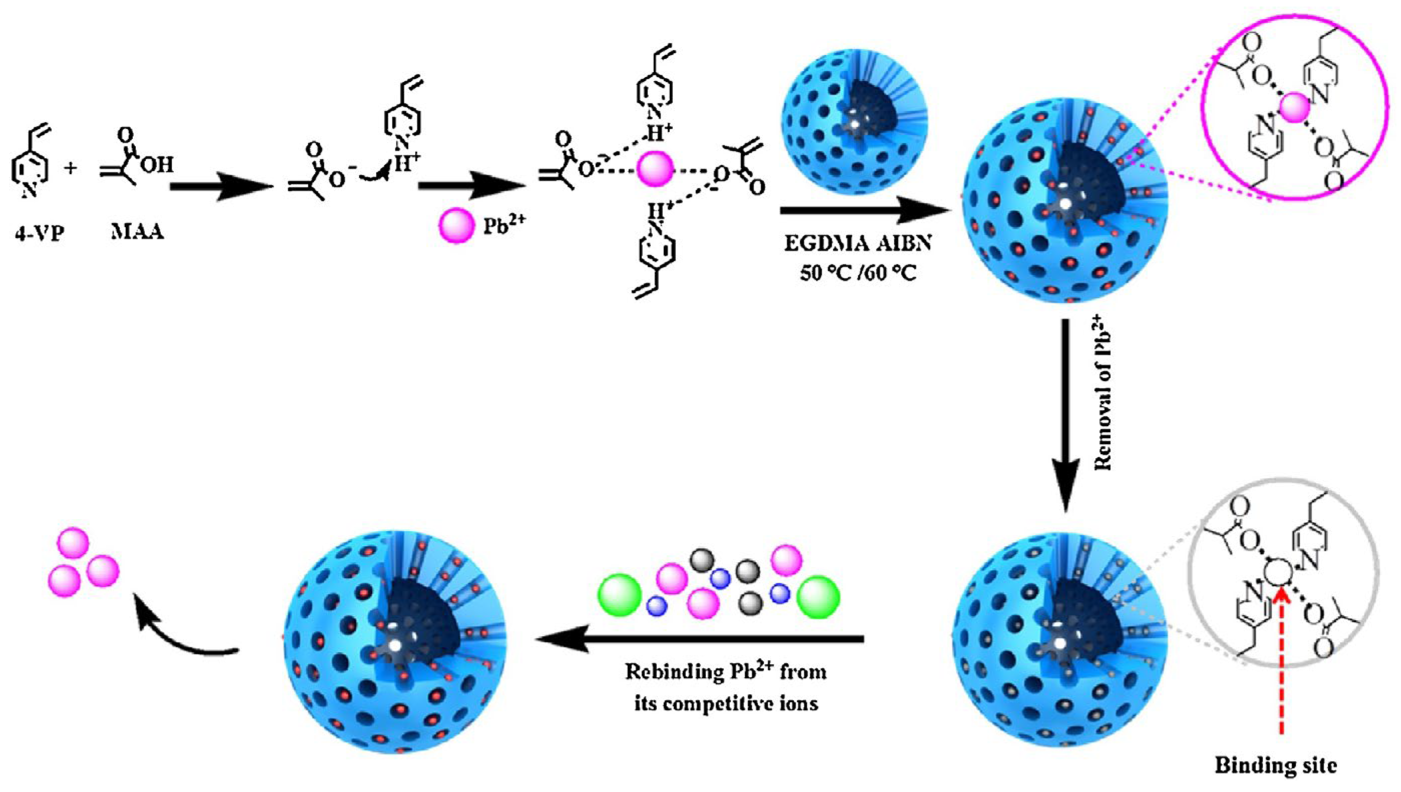 Sustainability 16 00339 g009