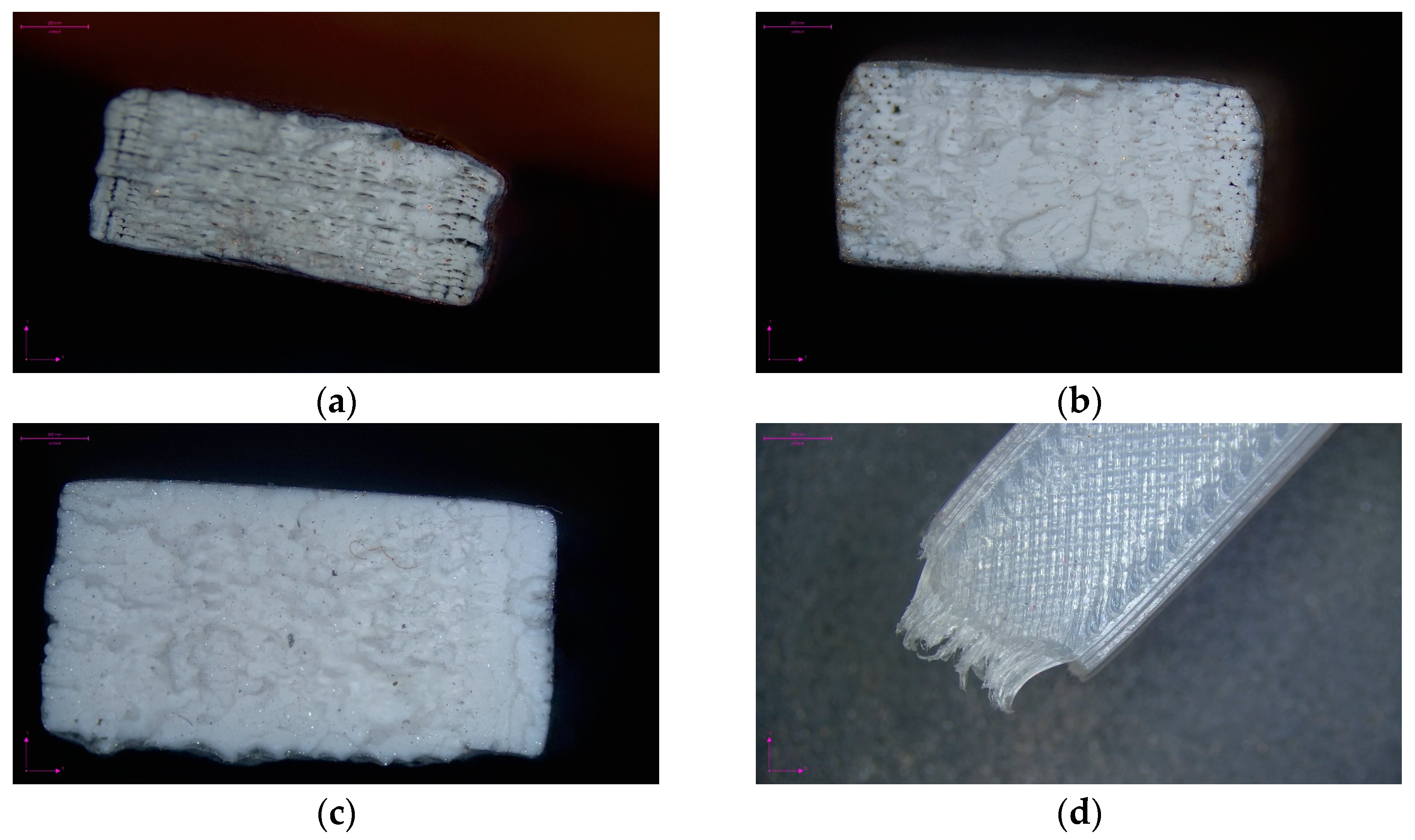 Sustainability 16 00356 g006