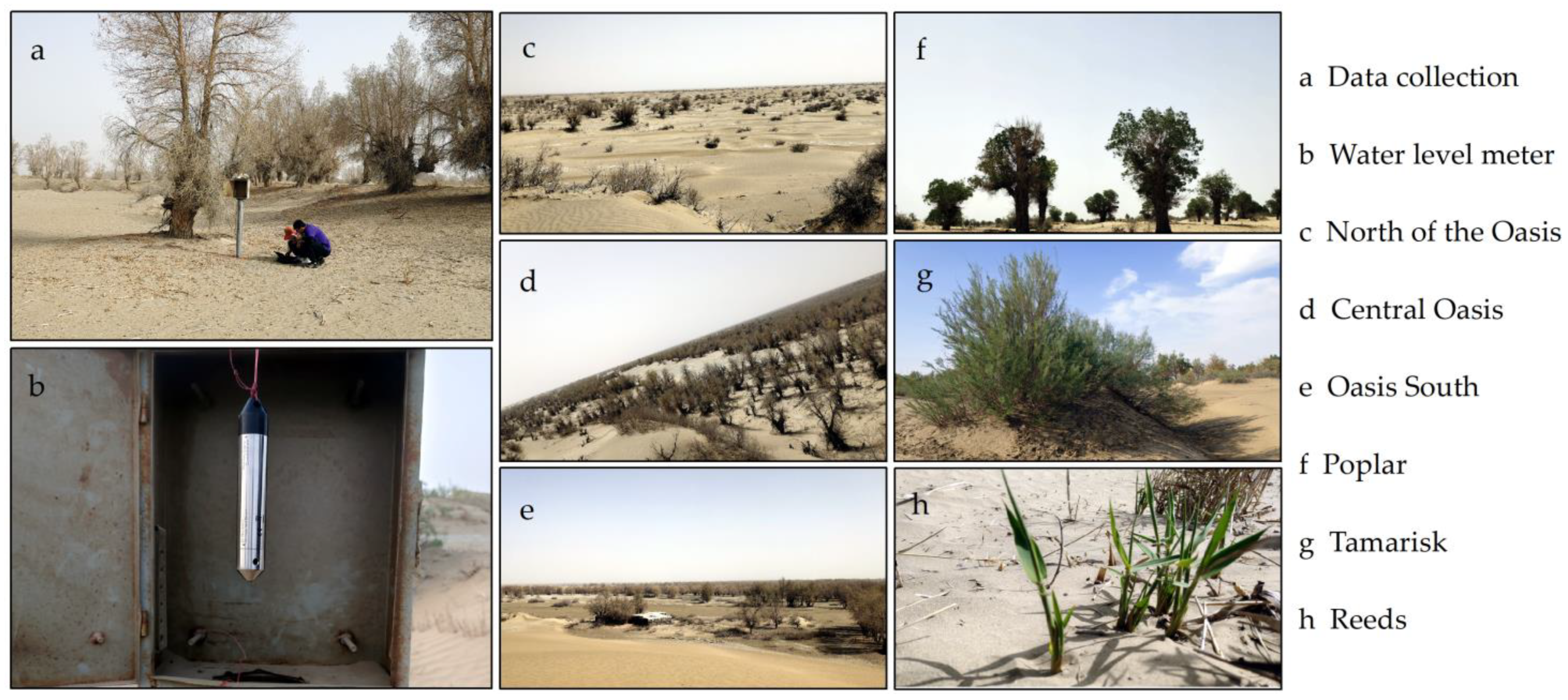 Sustainability 16 00378 g002