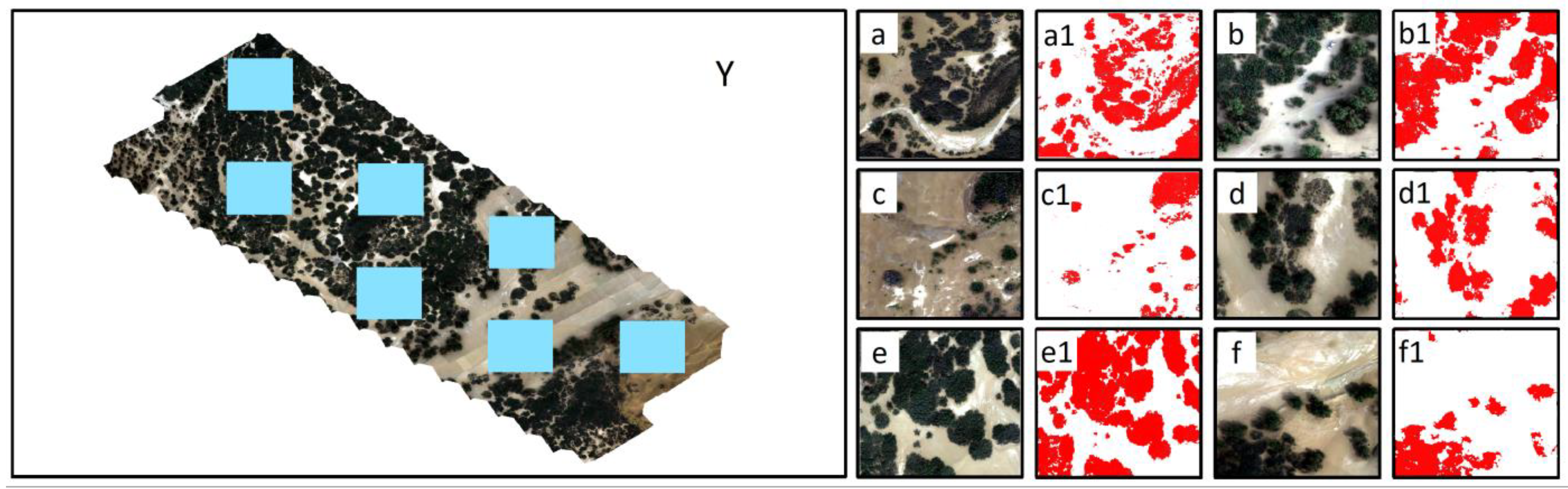 Sustainability 16 00378 g004