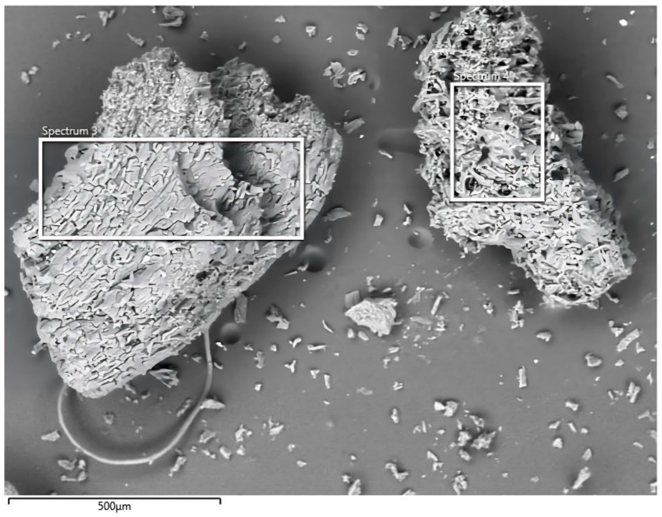 Sustainability 16 00406 g005