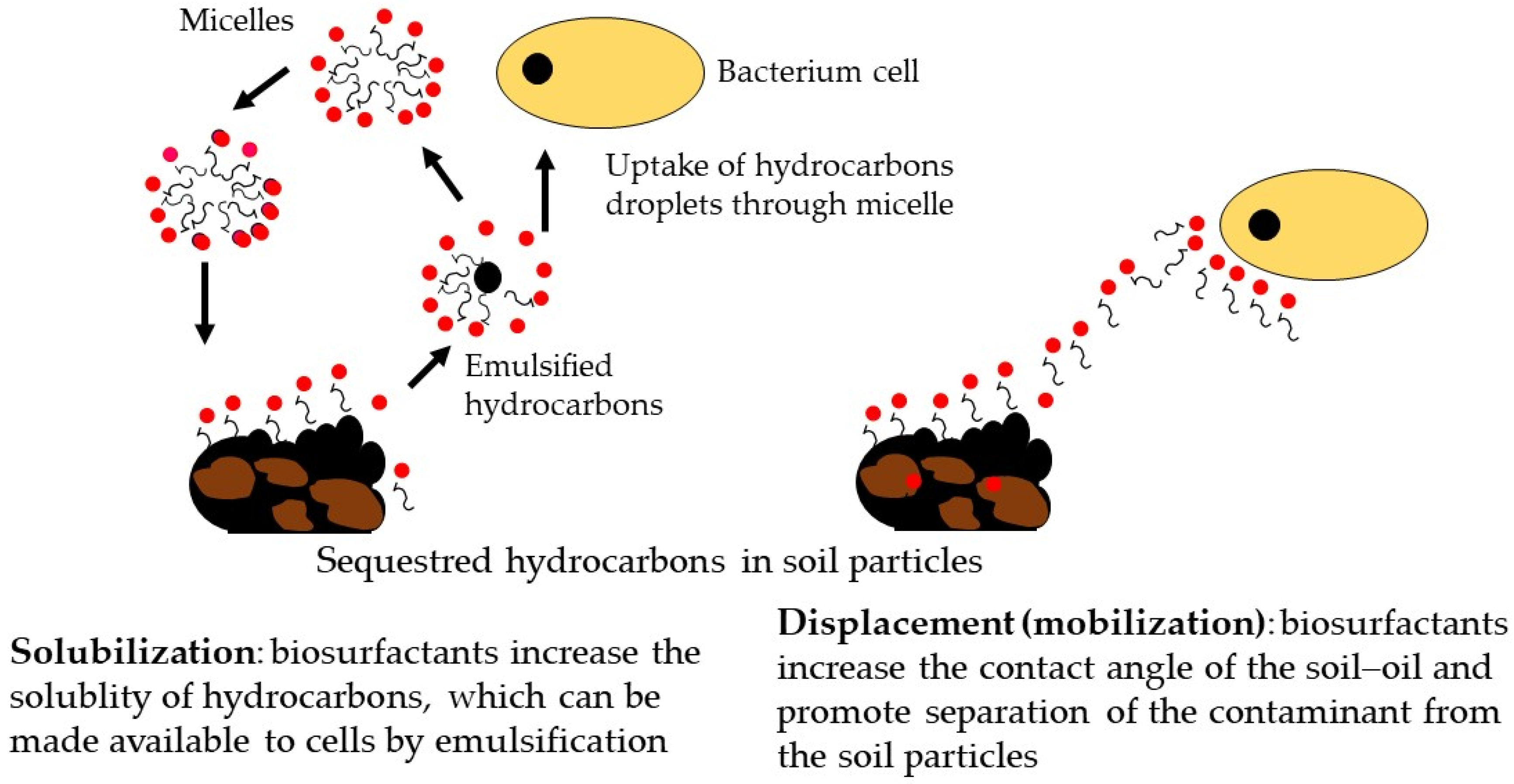 Sustainability 16 00449 g007