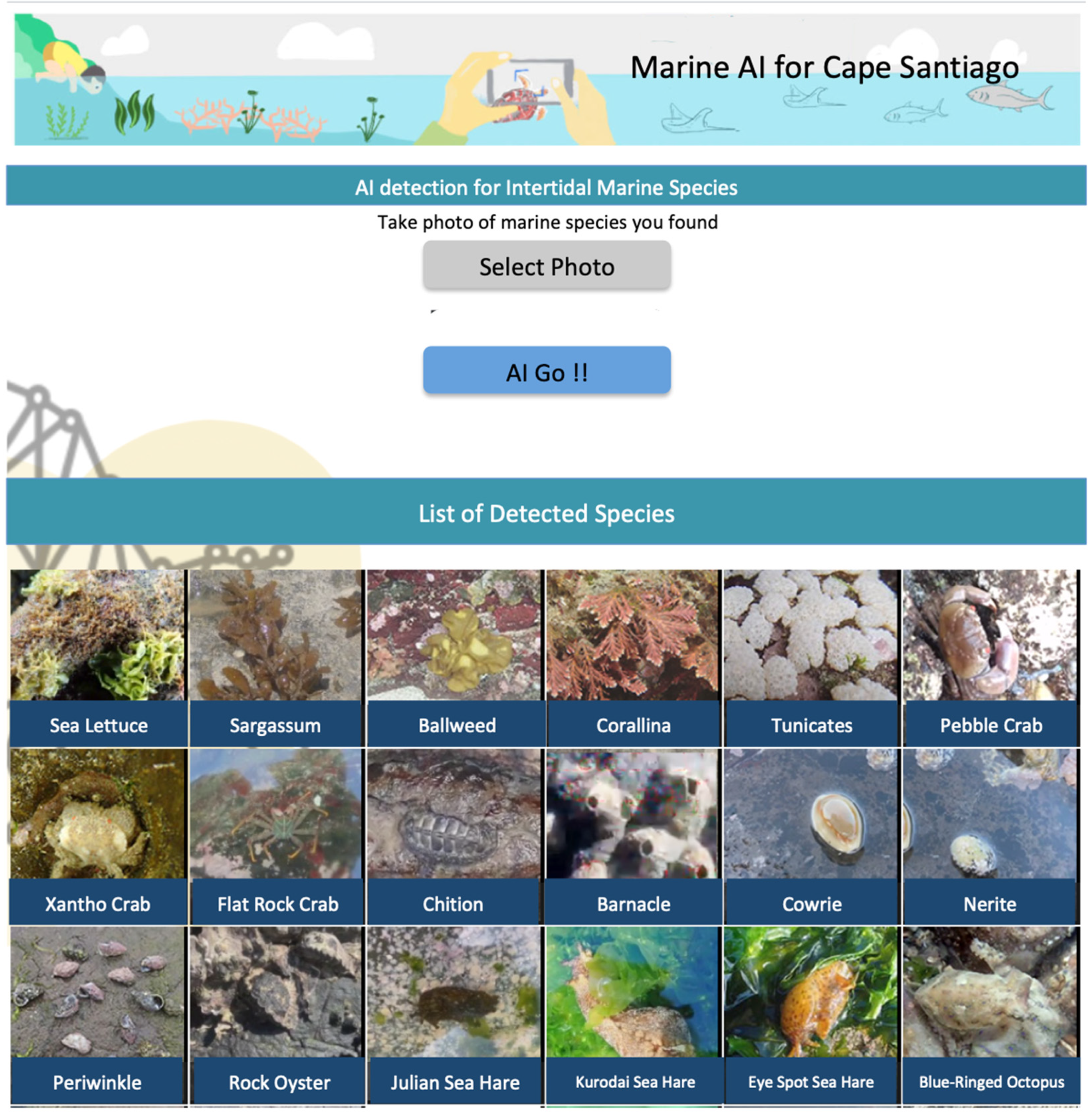 Sustainability 16 00454 g006