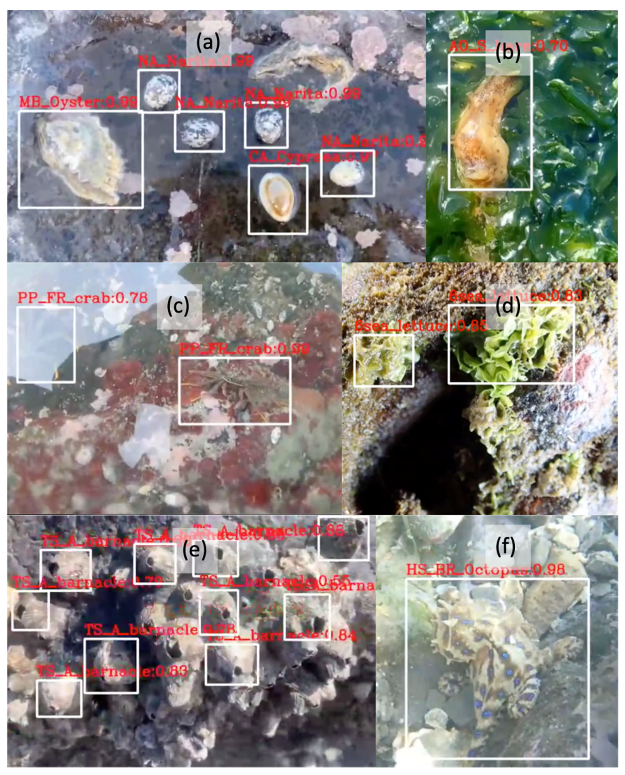 Sustainability 16 00454 g007