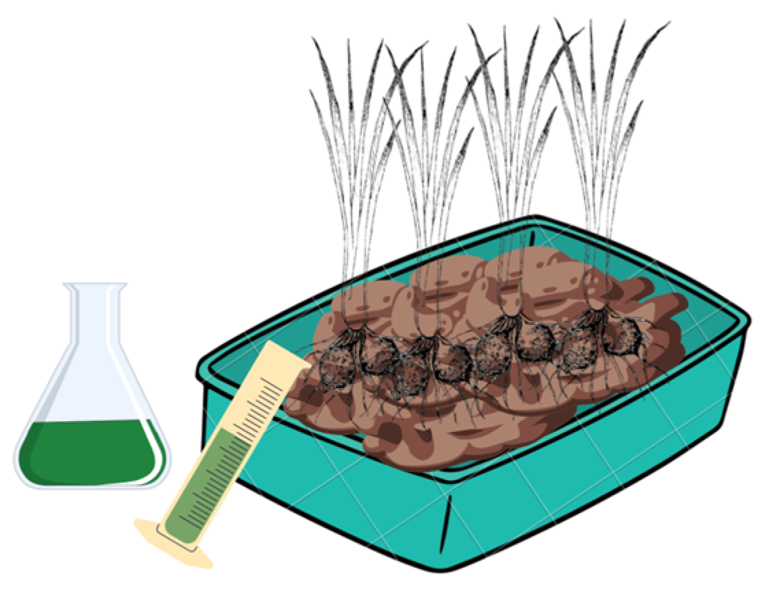 Sustainability 16 00479 g001