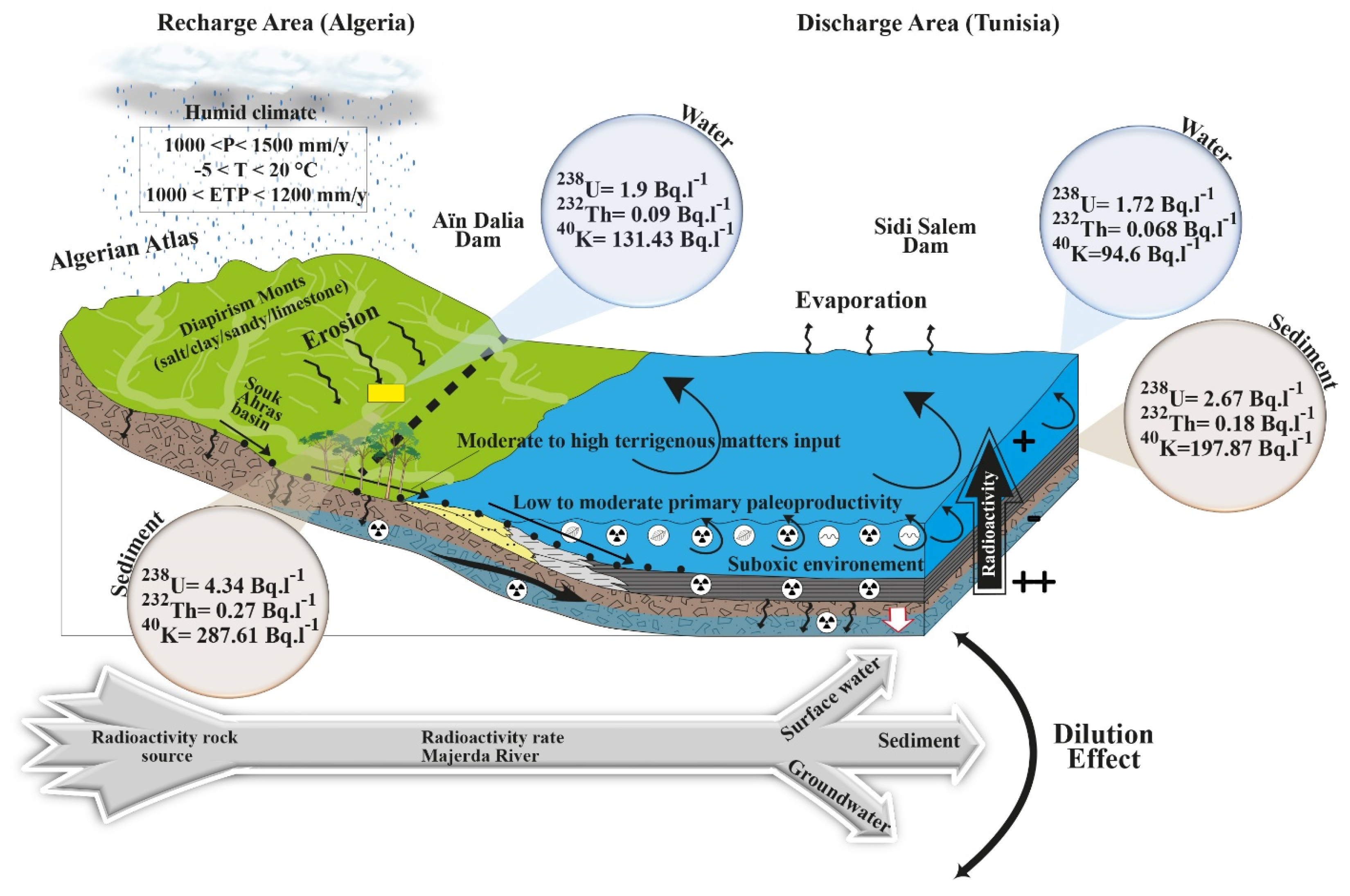 Sustainability 16 00490 g004