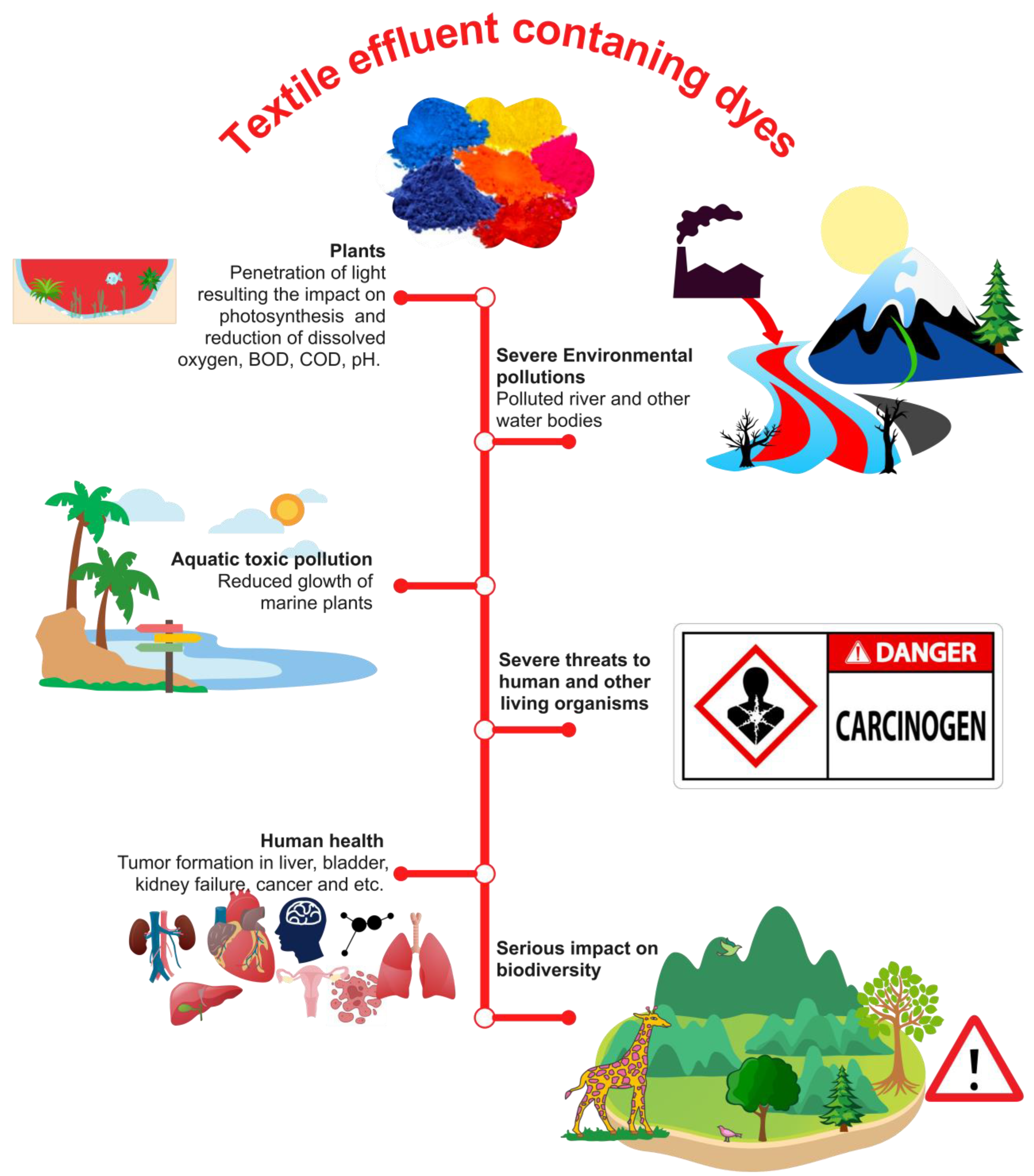 Sustainability 16 00495 g003