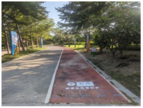 Sustainability 16 00505 i024