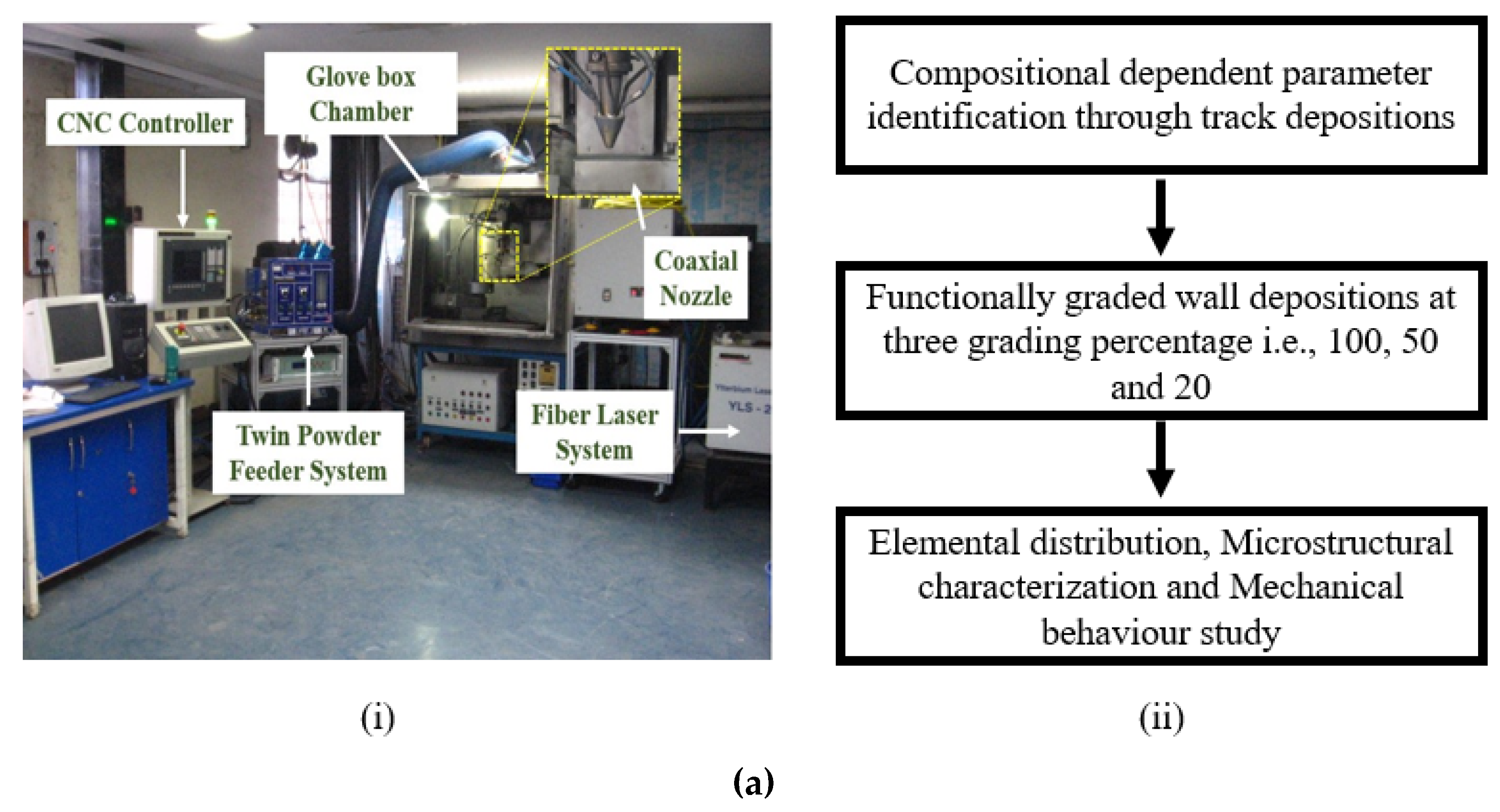 Sustainability 16 00519 g001a