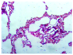 Sustainability 16 00563 i002 Sustainability 16 00563 i002