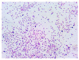 Sustainability 16 00563 i004 Sustainability 16 00563 i004