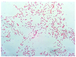 Sustainability 16 00563 i008 Sustainability 16 00563 i008