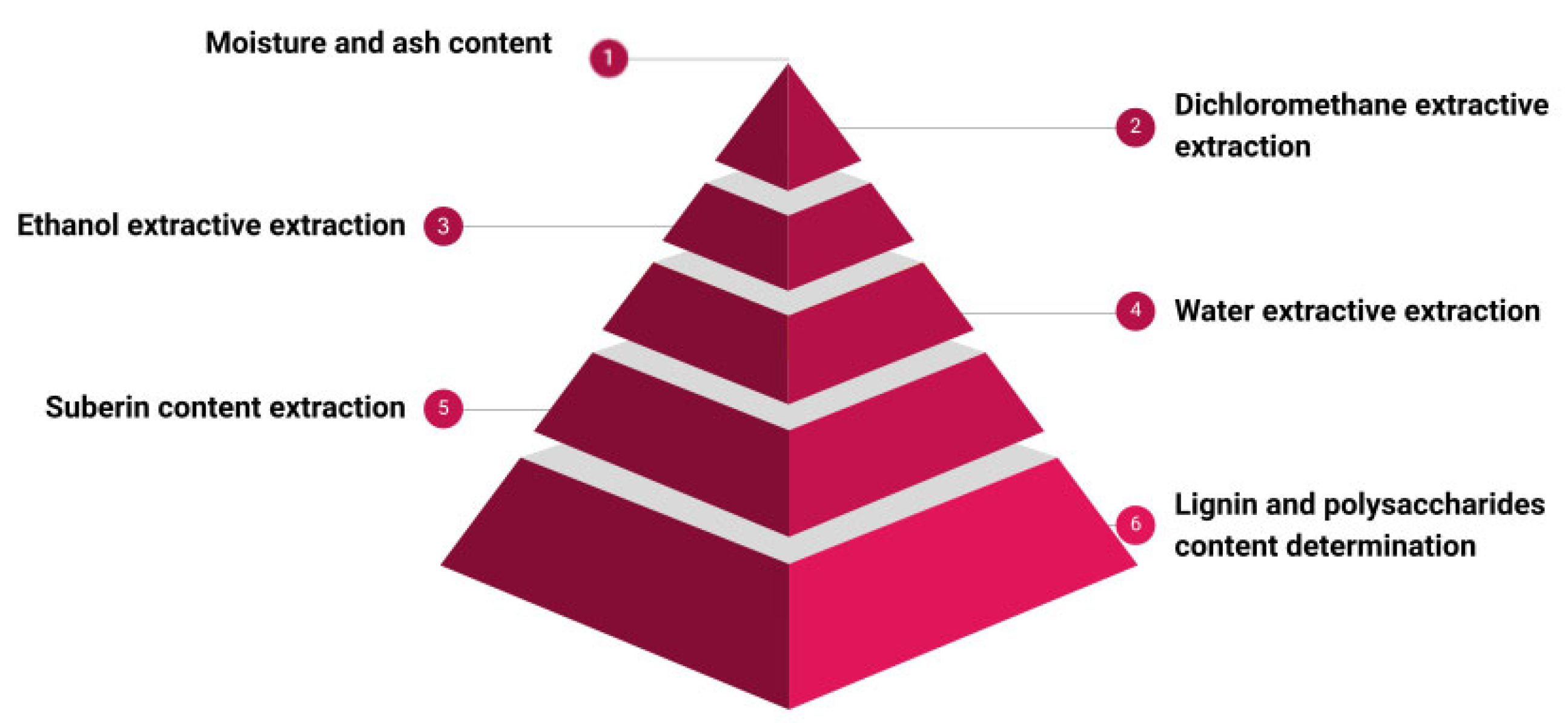 Sustainability 16 00575 g001