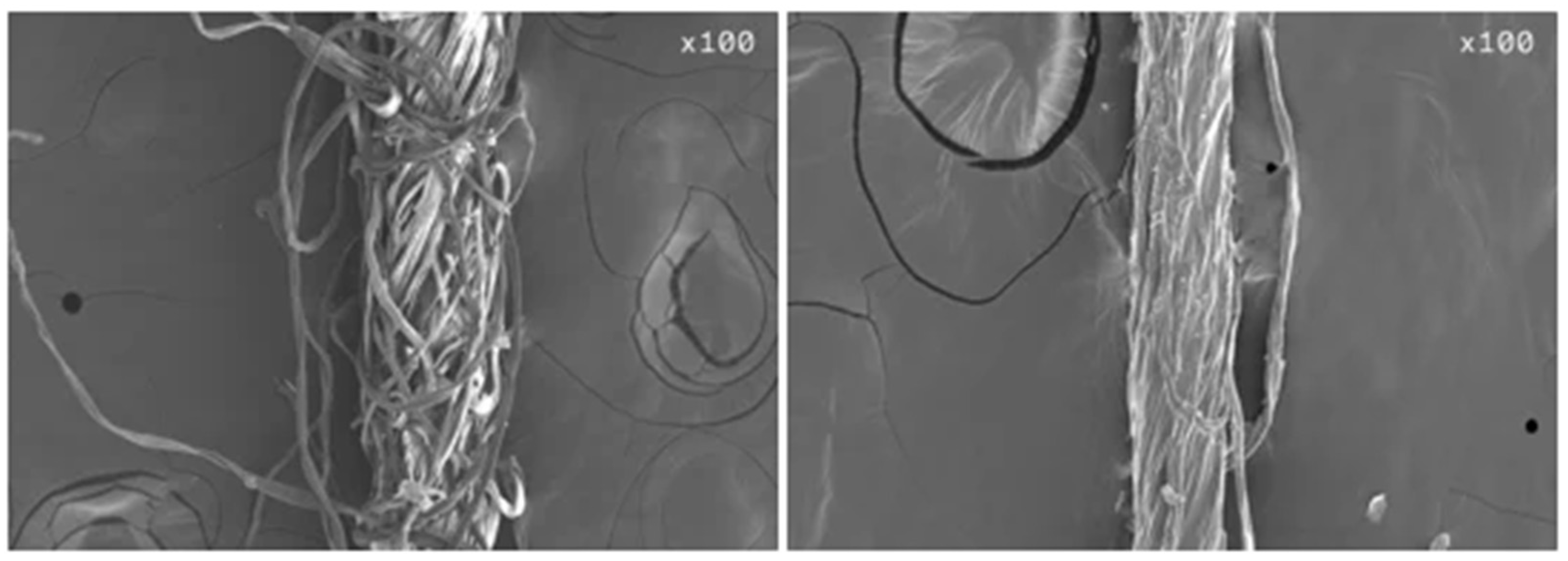 Sustainability 16 00618 g003