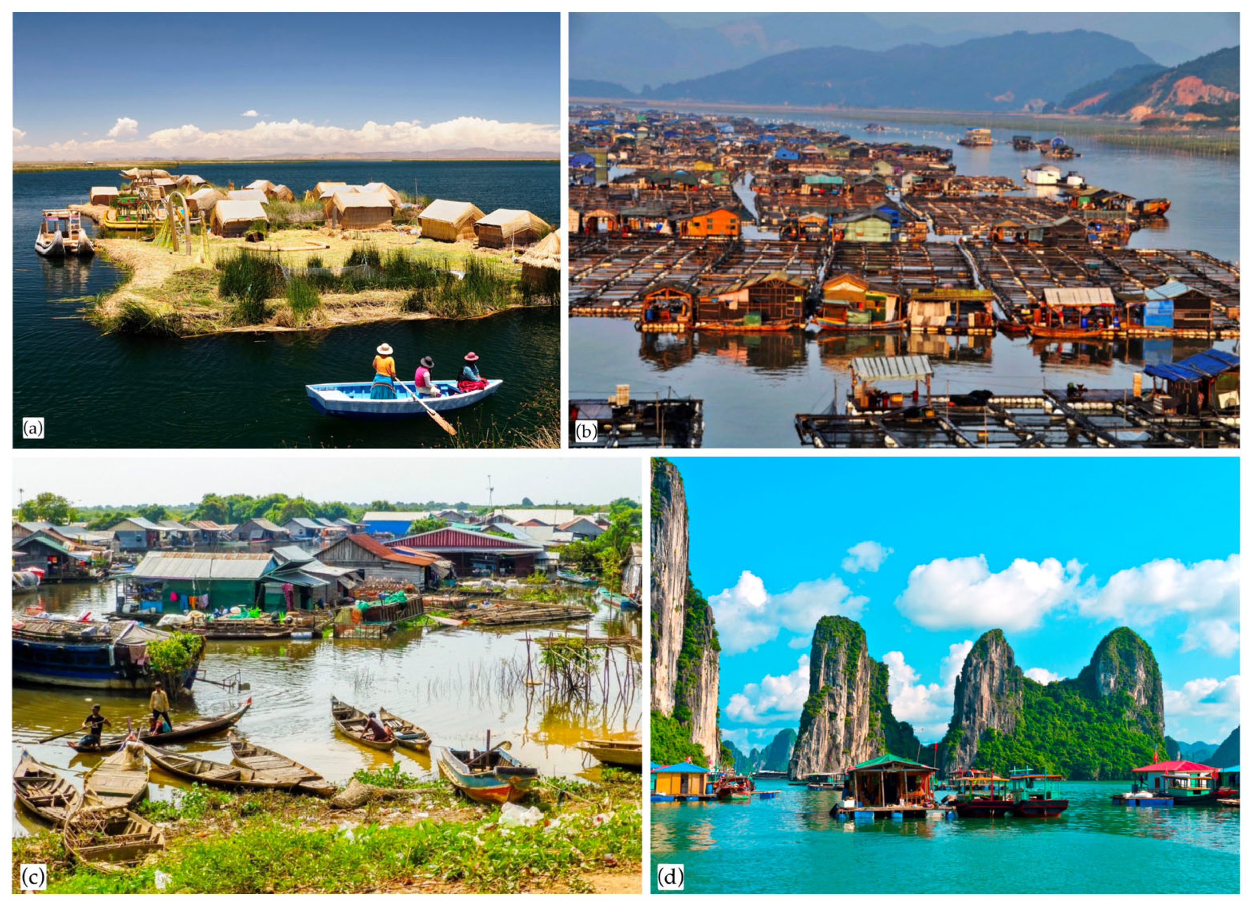 Sustainability 16 00637 g002