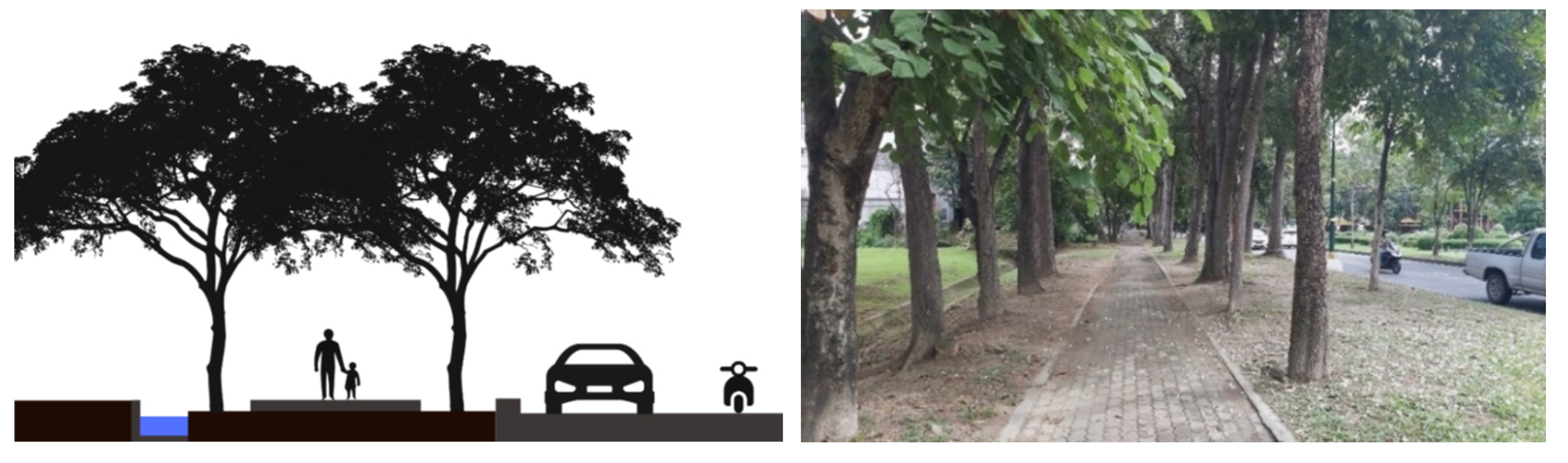 Sustainability 16 00657 g006