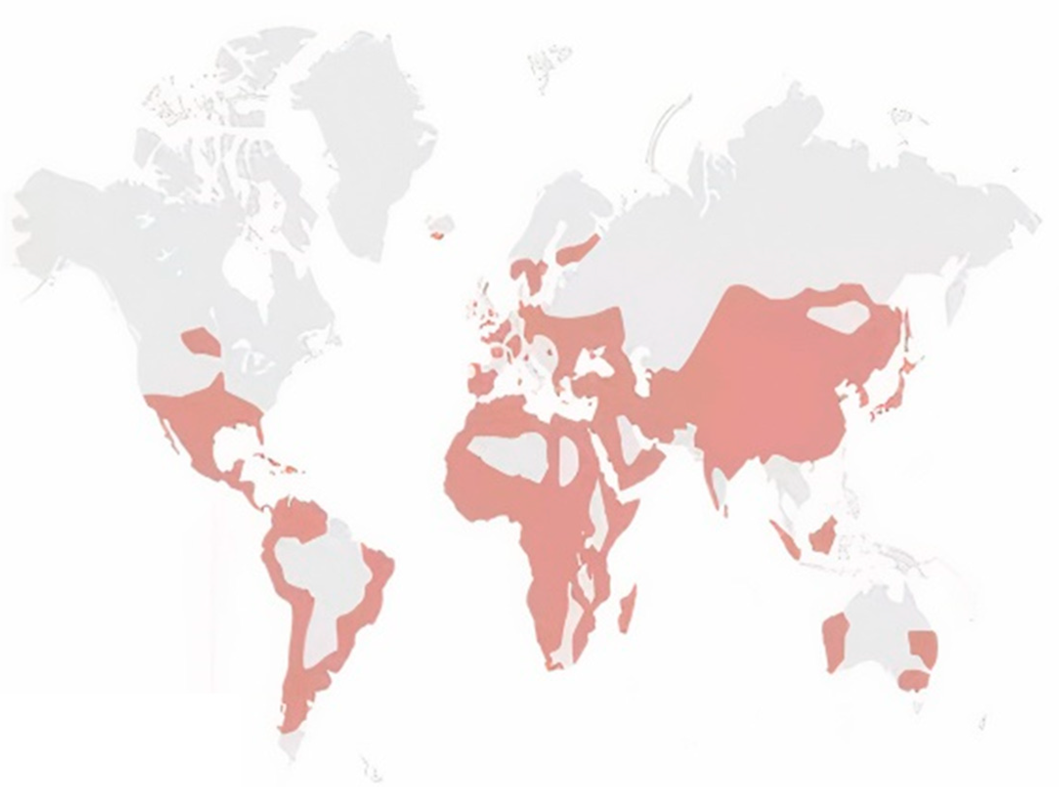 Sustainability 16 00670 g001