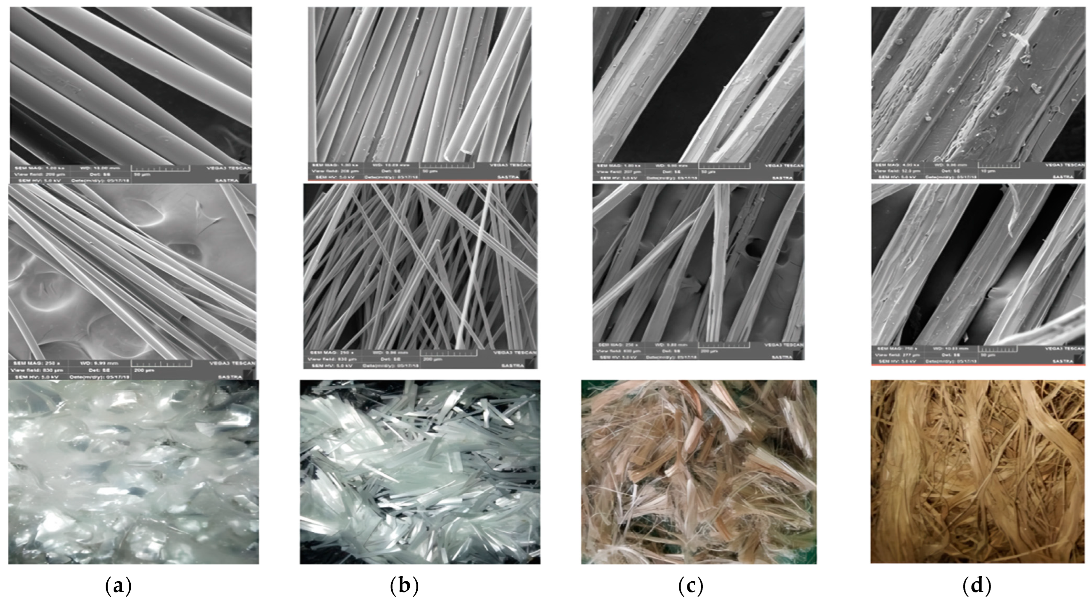 Sustainability 16 00670 g013