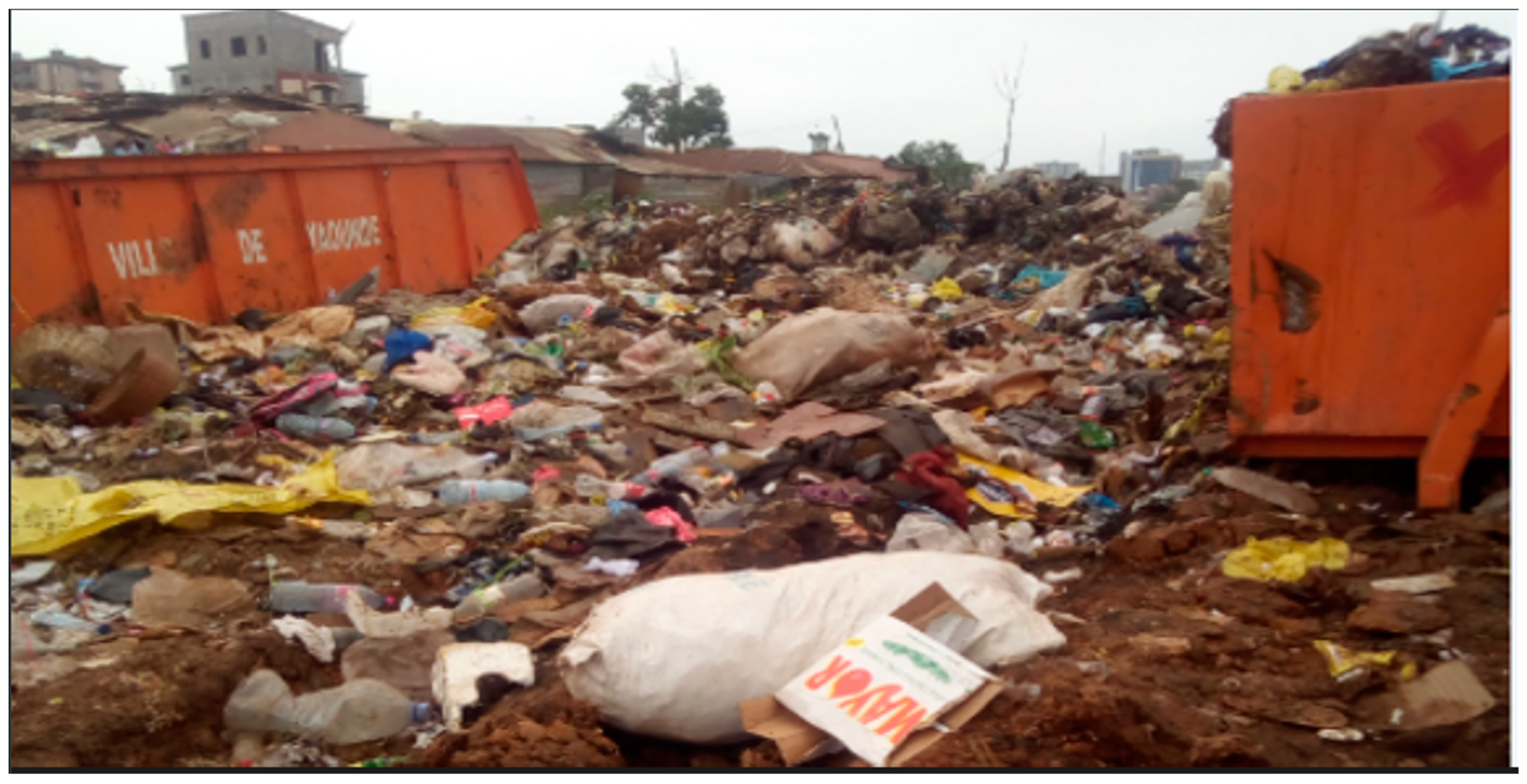 Sustainability 16 00672 g005