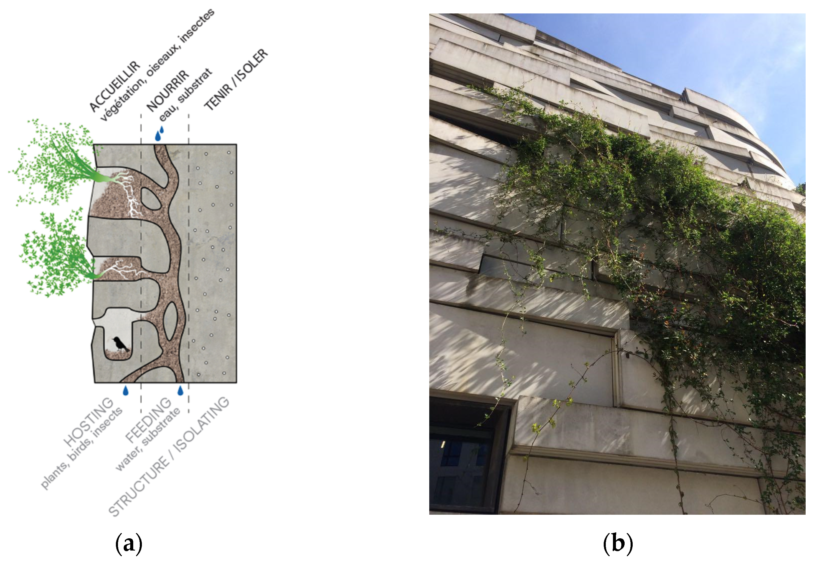 Sustainability 16 00673 g001