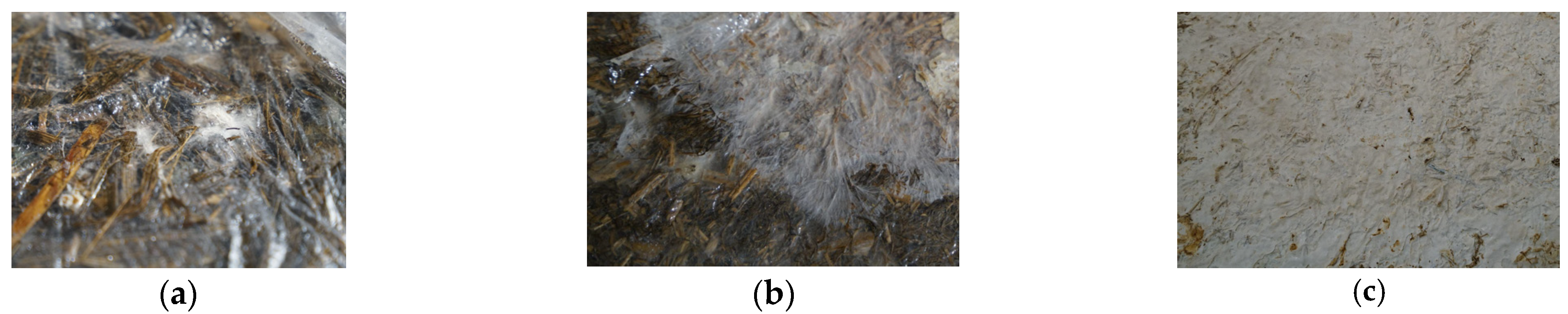 Sustainability 16 00673 g002