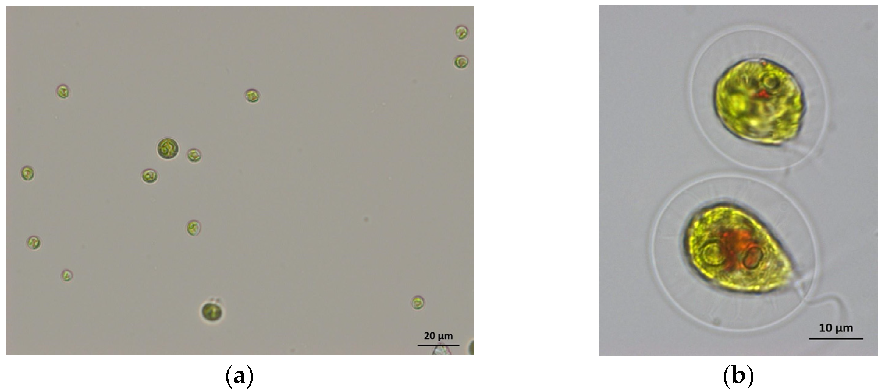 Sustainability 16 00673 g004