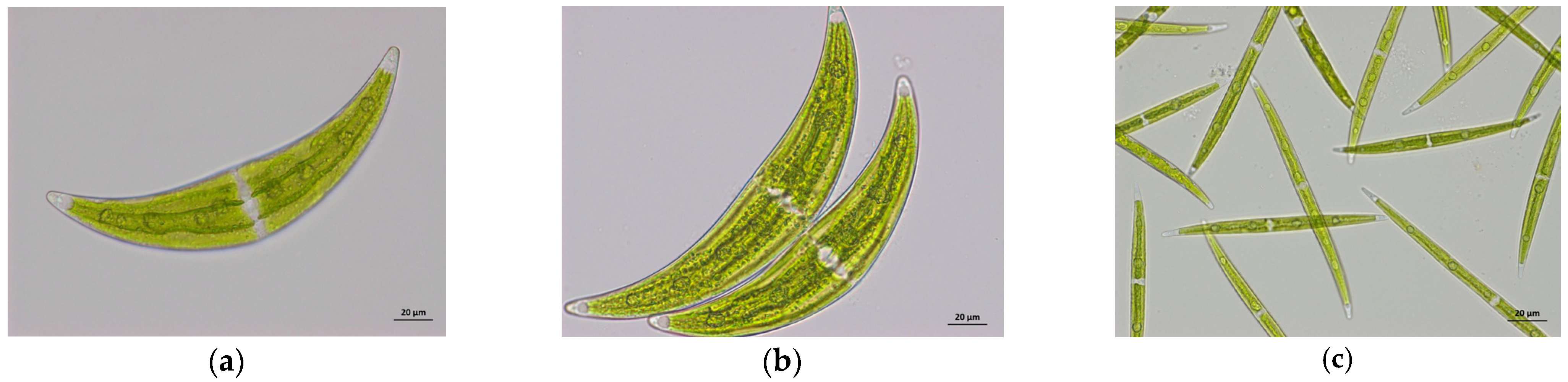 Sustainability 16 00673 g005