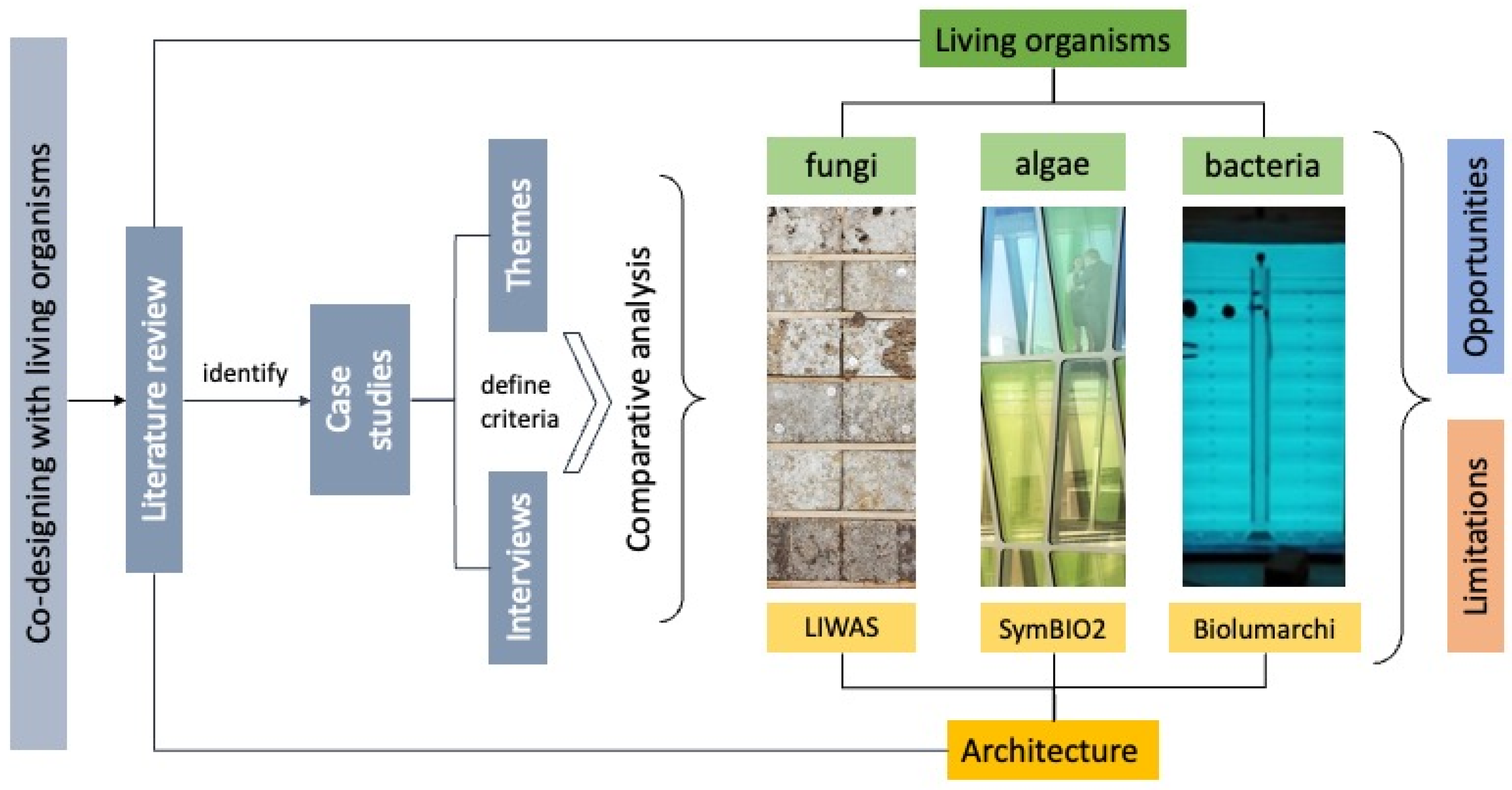 Sustainability 16 00673 g008