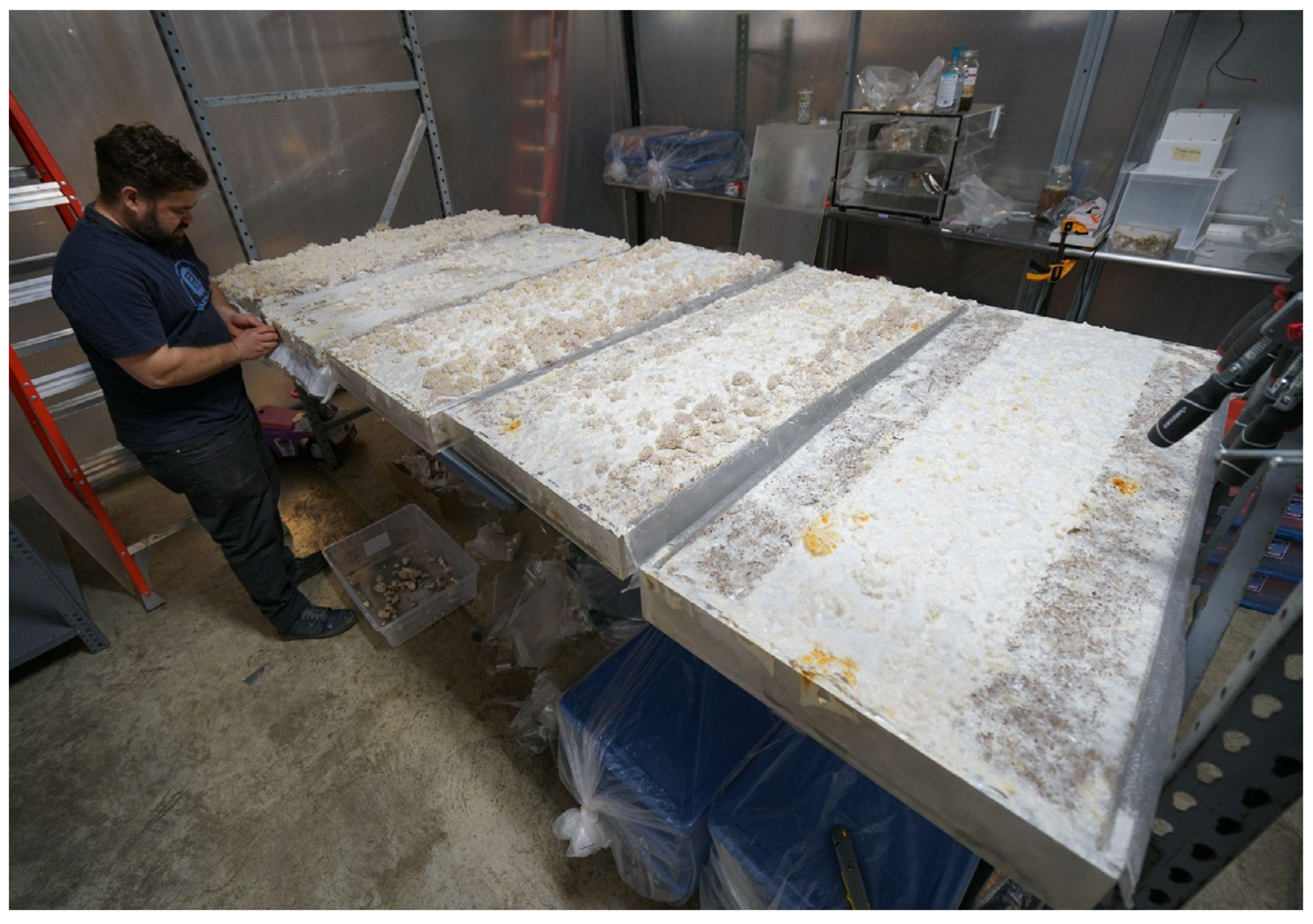 Sustainability 16 00673 g009