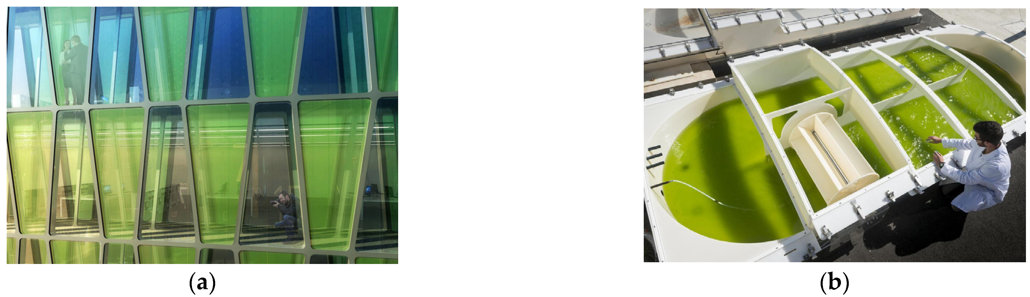 Sustainability 16 00673 g011