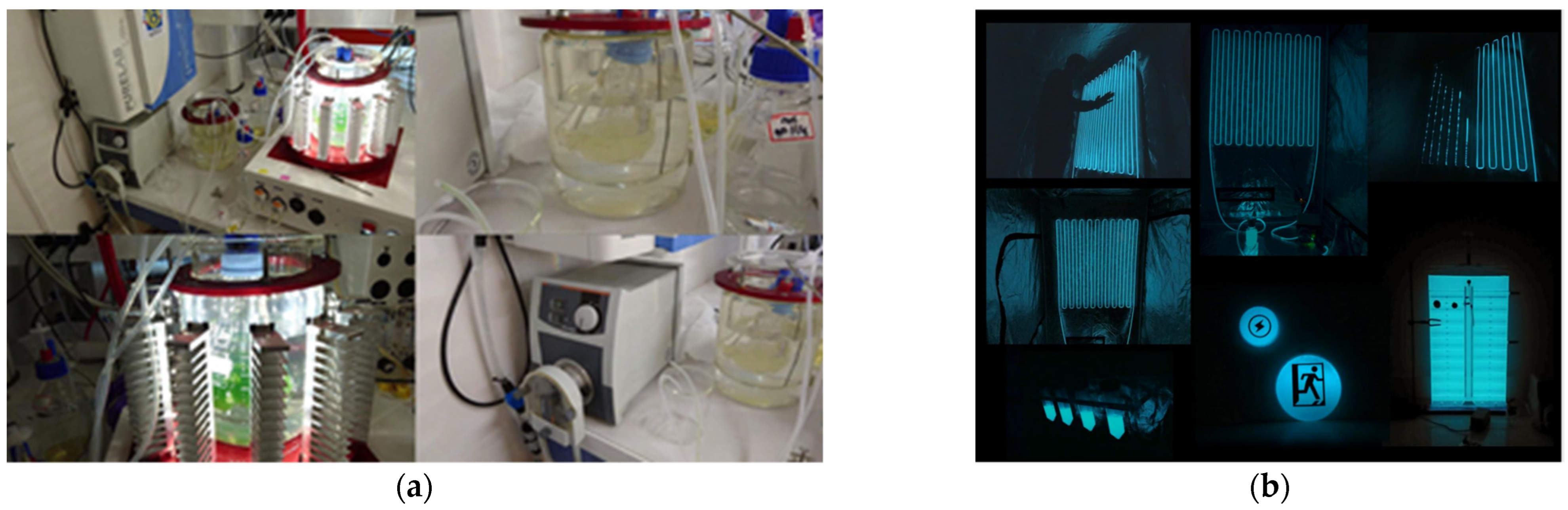 Sustainability 16 00673 g013