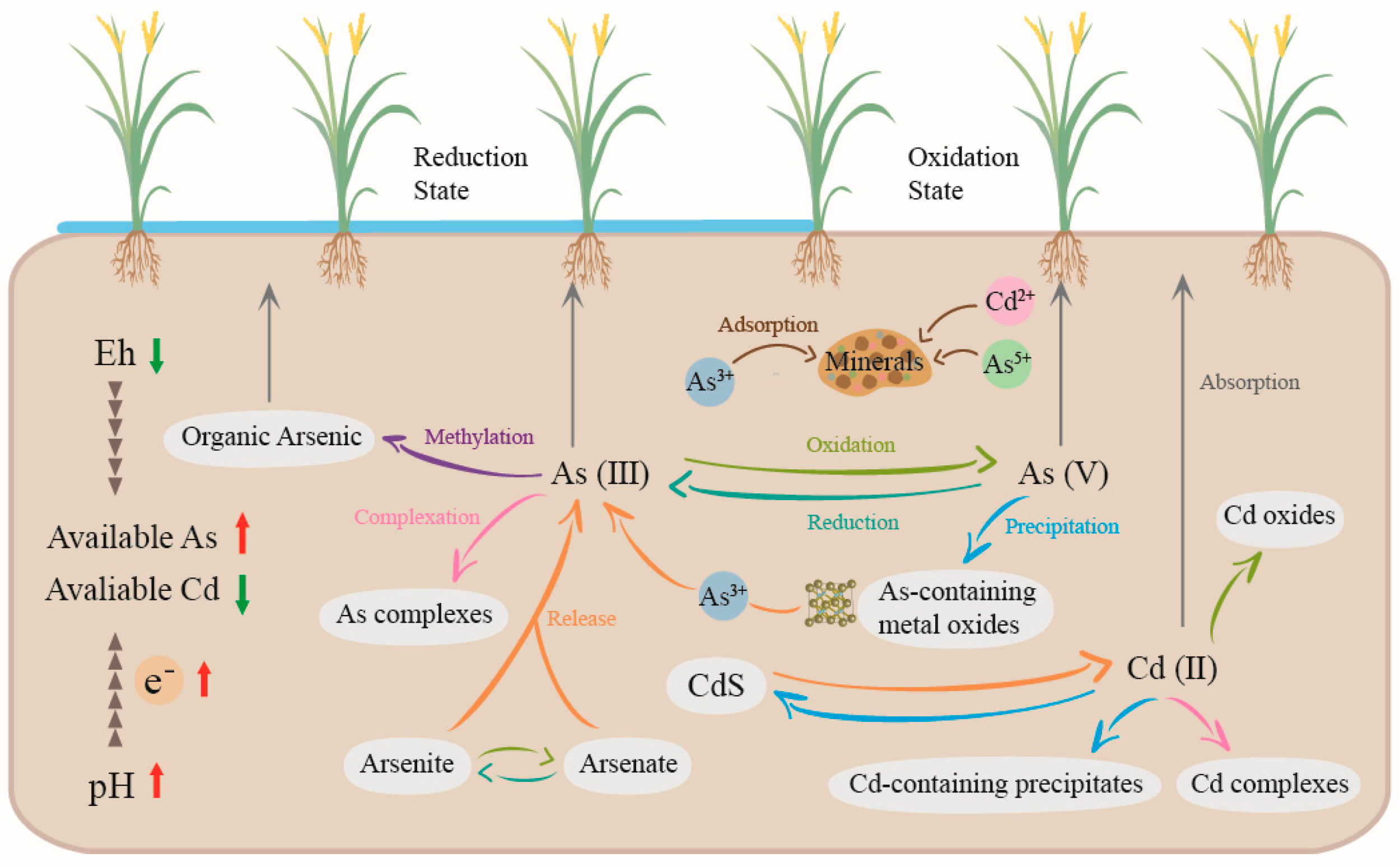 Sustainability 16 00687 g002